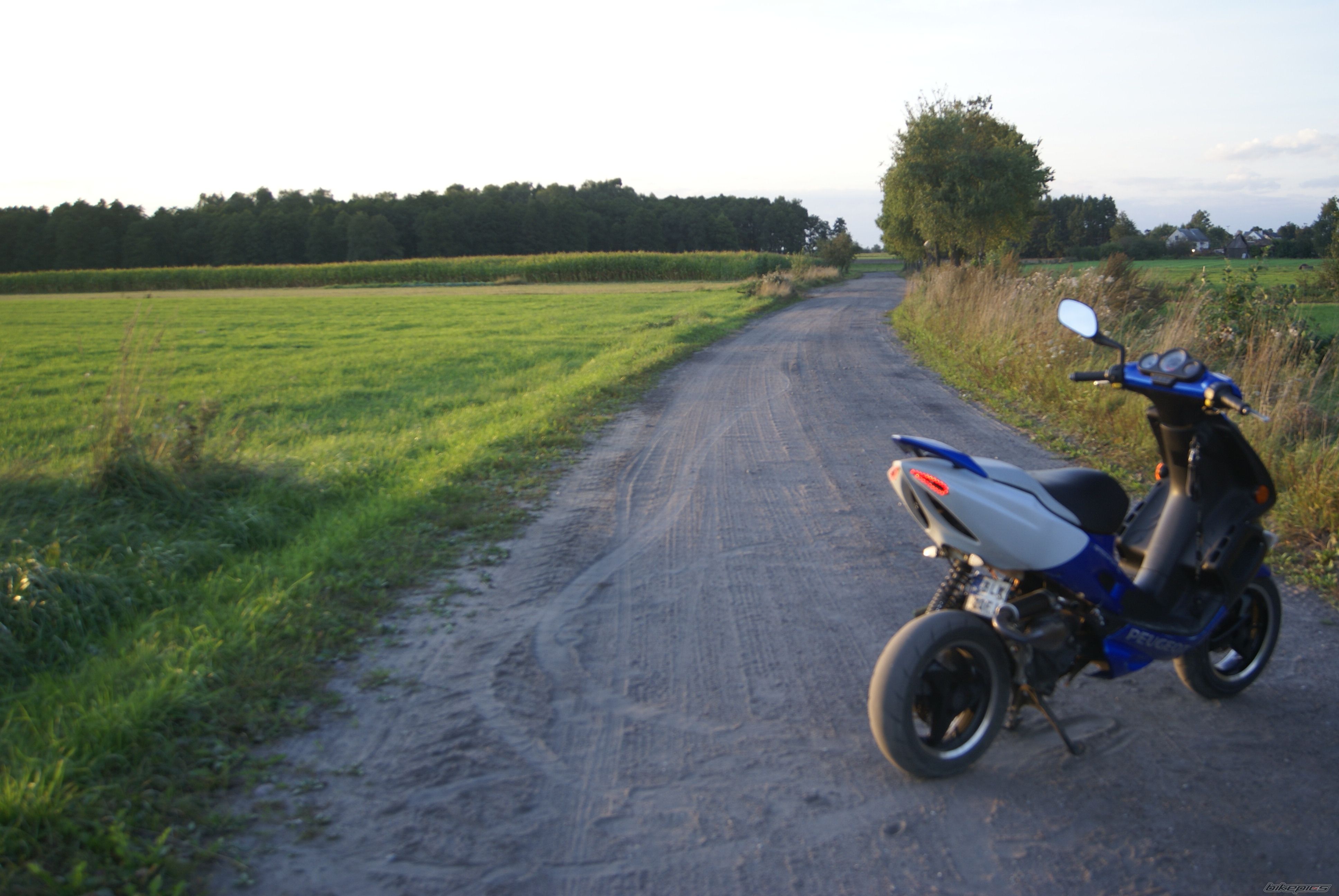 Photo 2544359