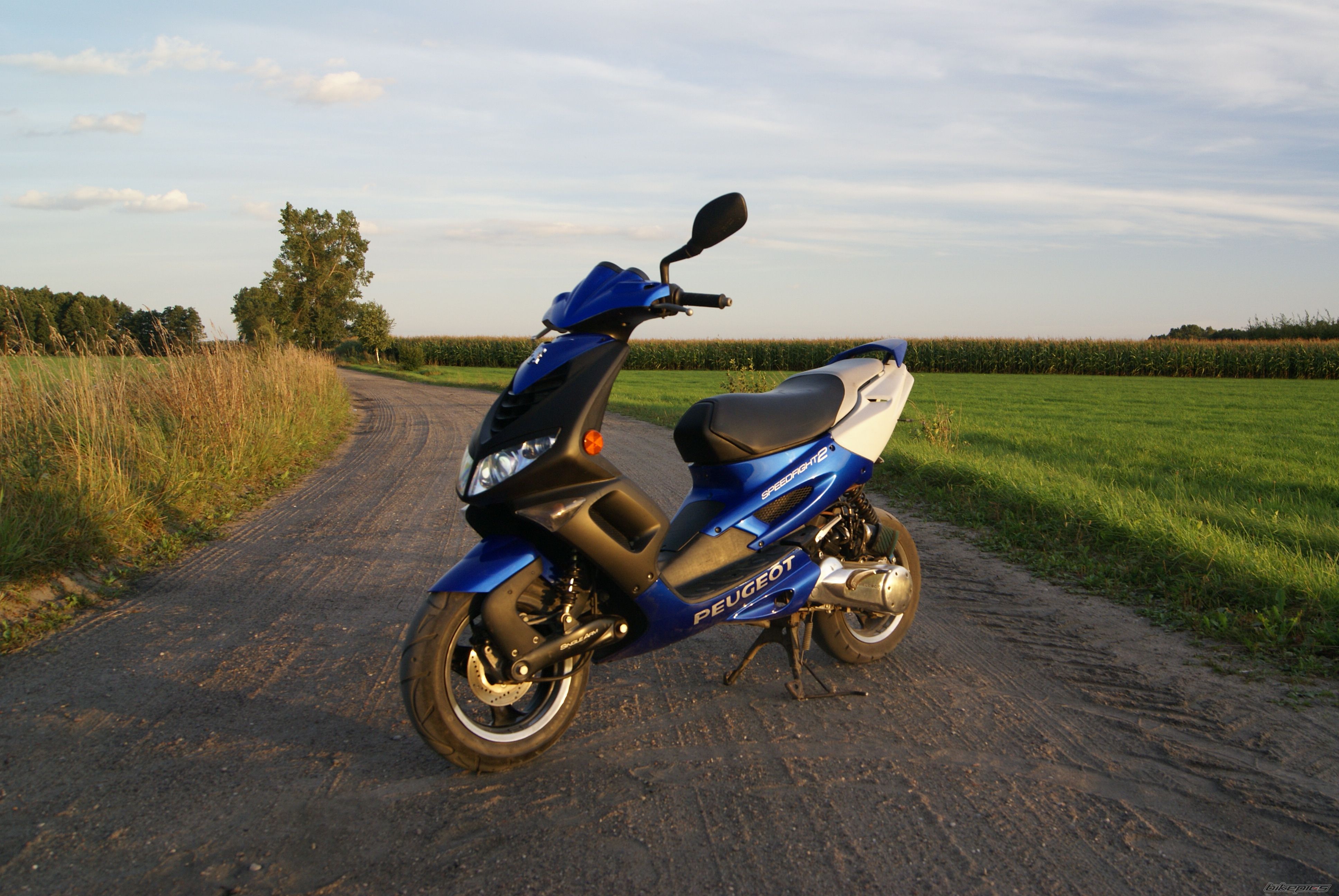 Photo 2544364