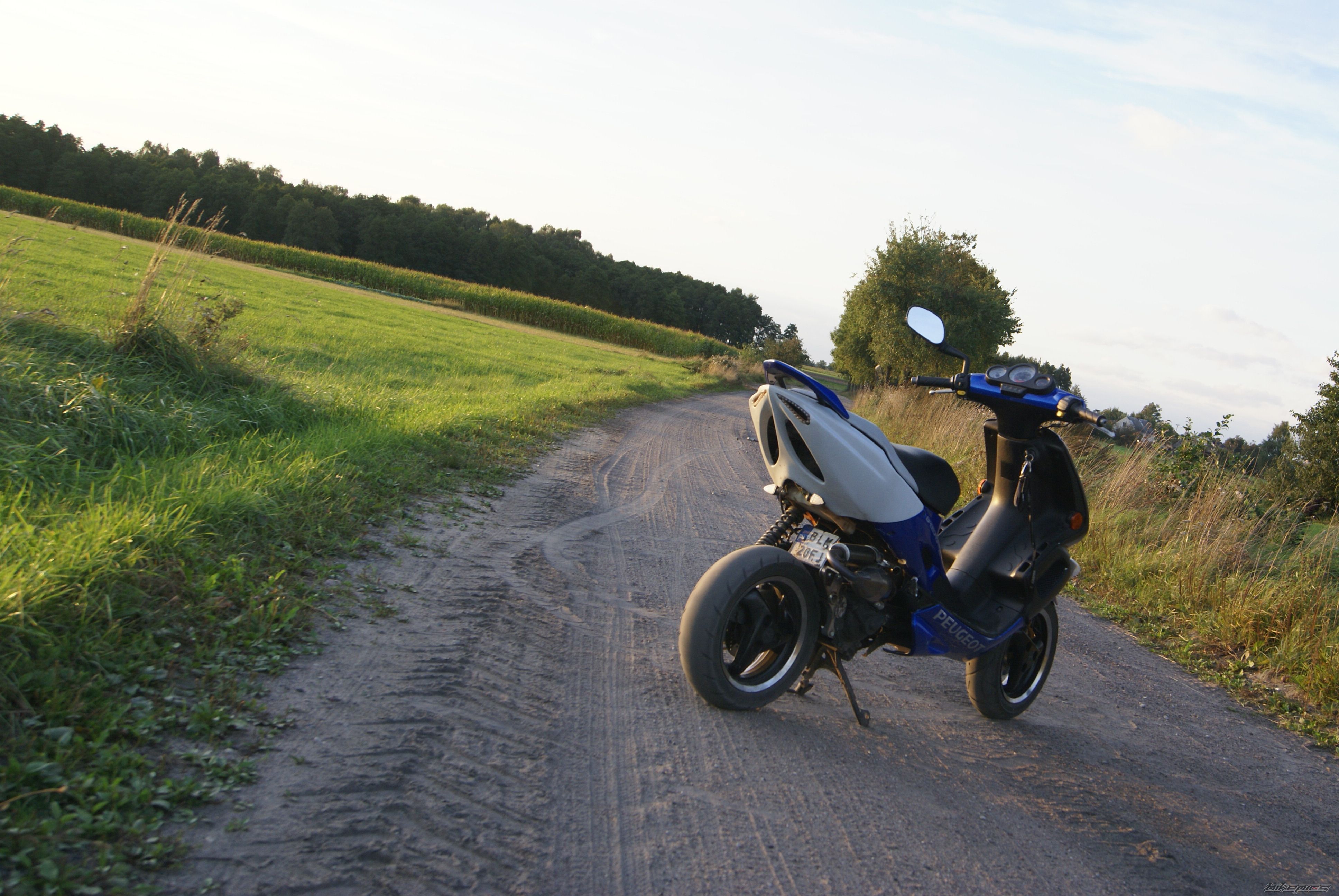 Photo 2544367