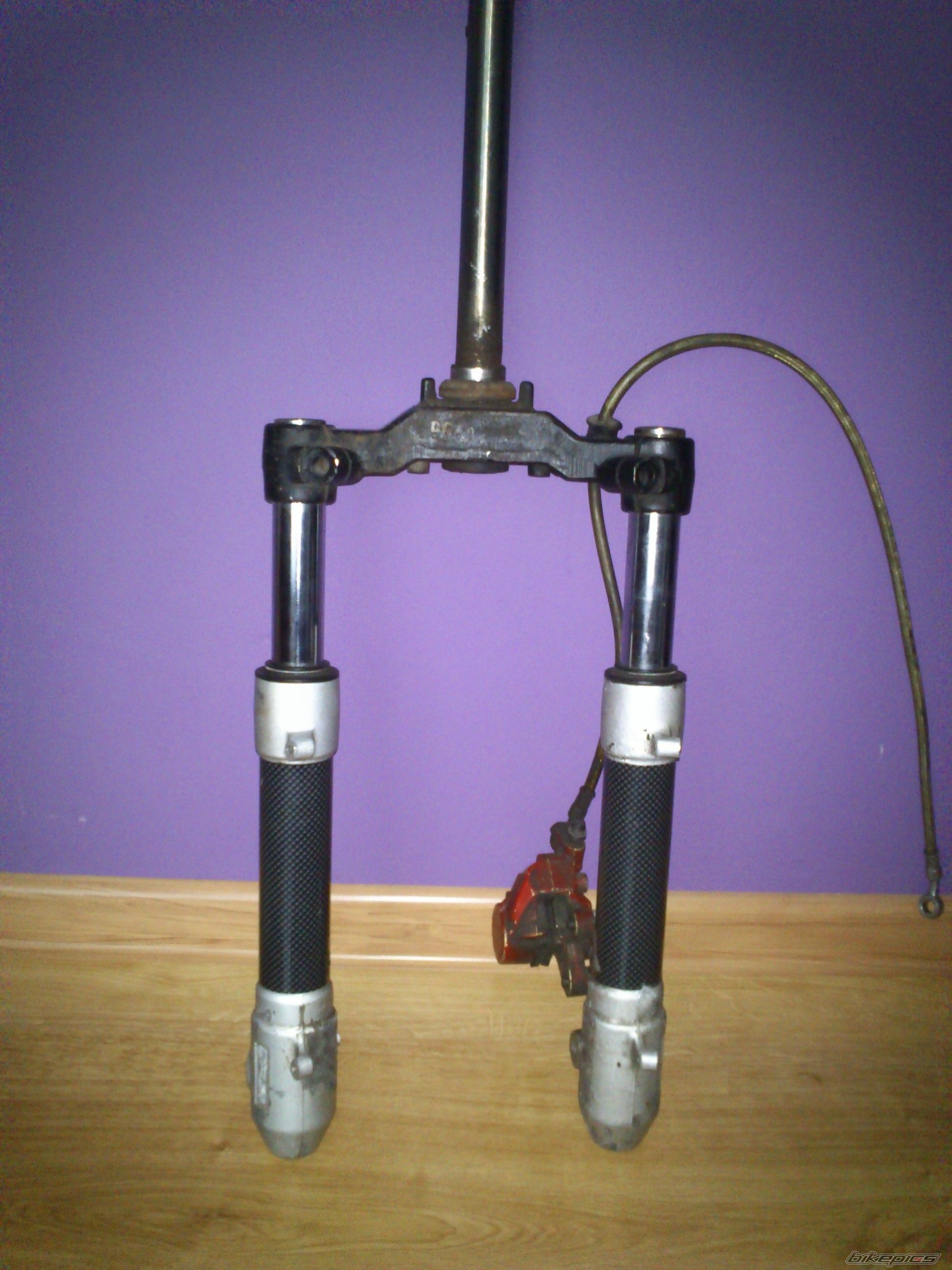 Photo 2544370