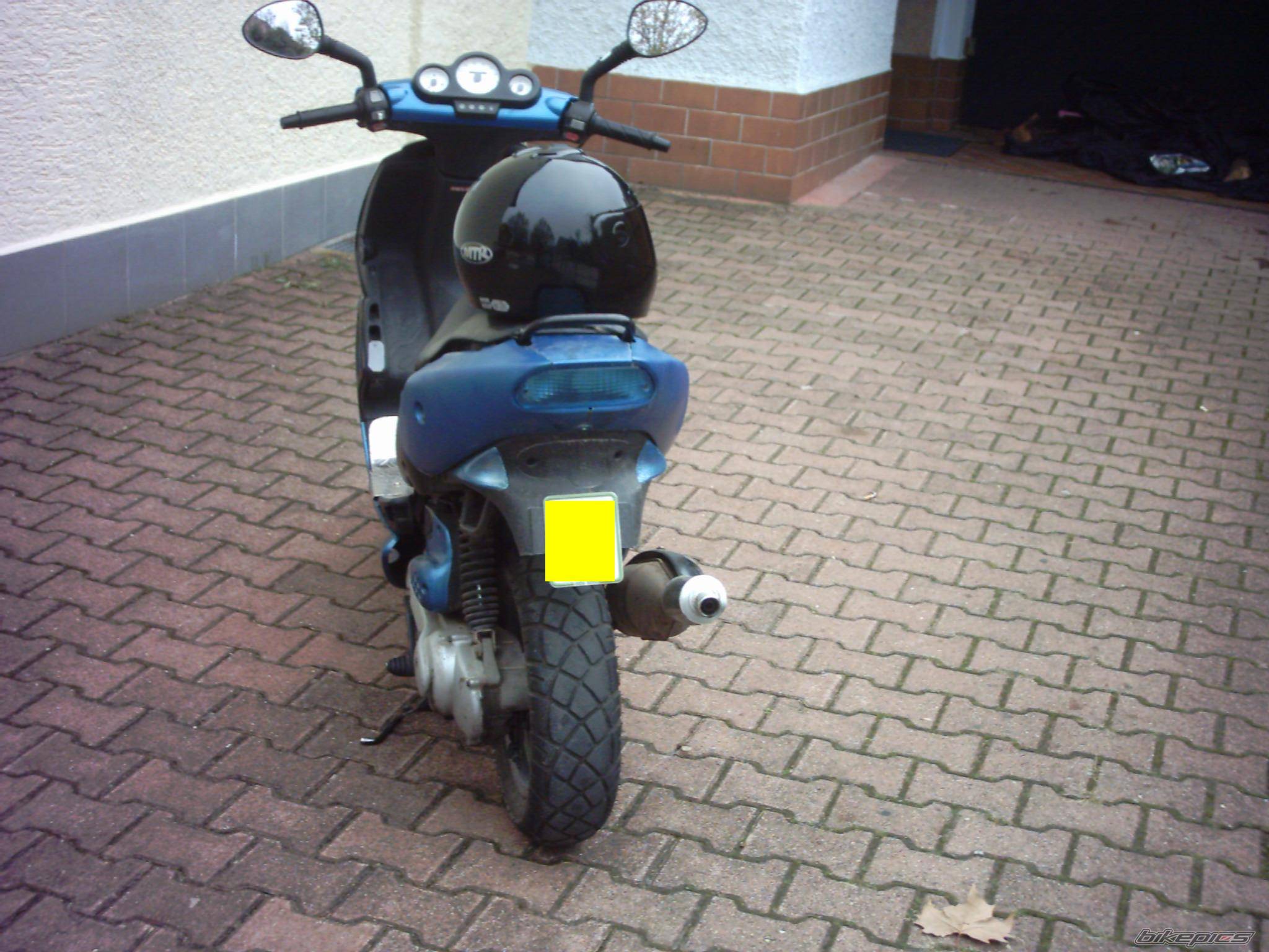 Photo 254439