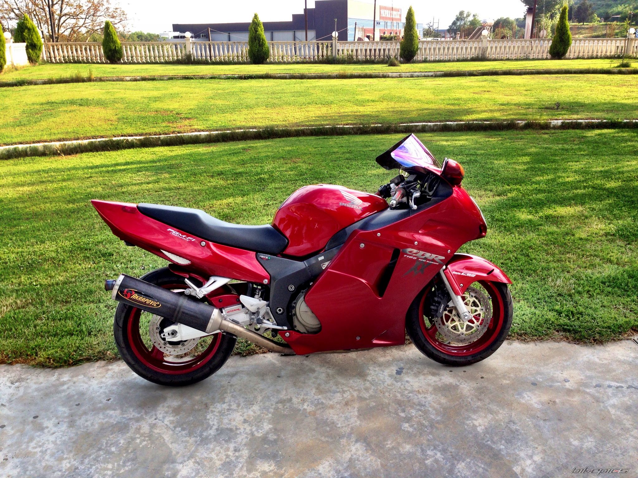 Photo 2544469