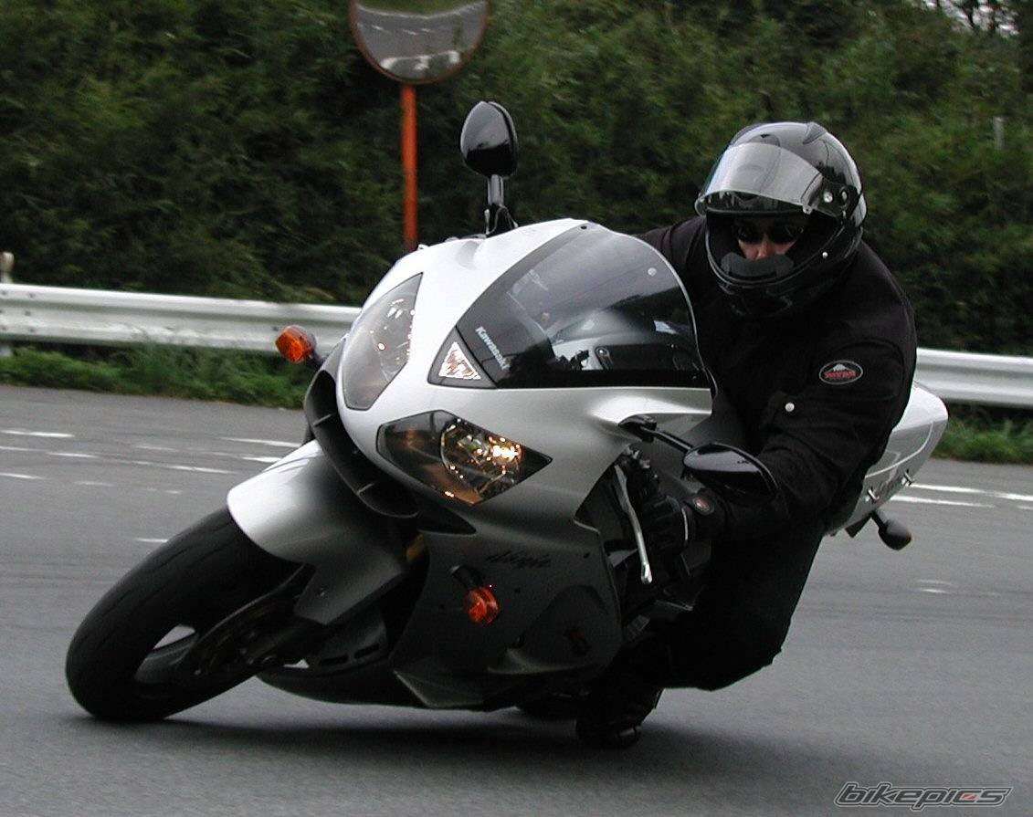 Photo 254449
