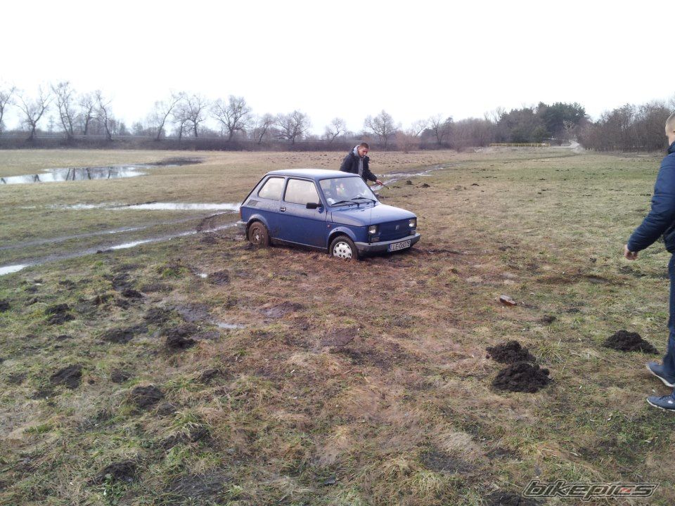 Photo 2544552