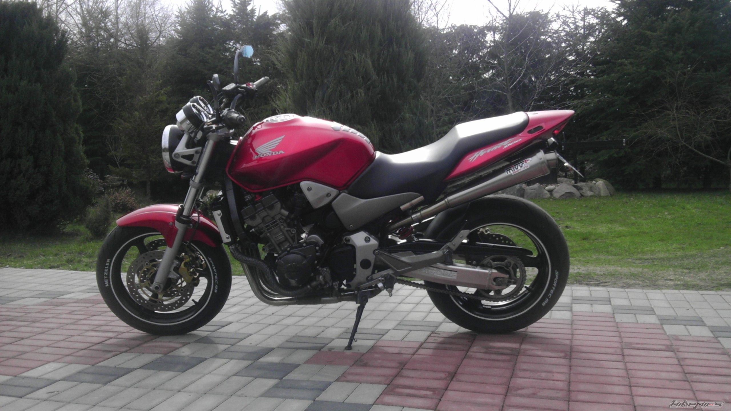 Photo 2544565