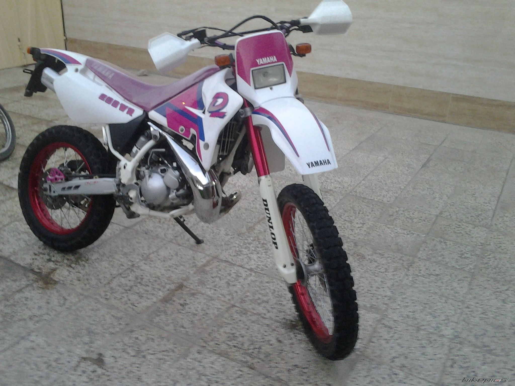 Photo 2544608