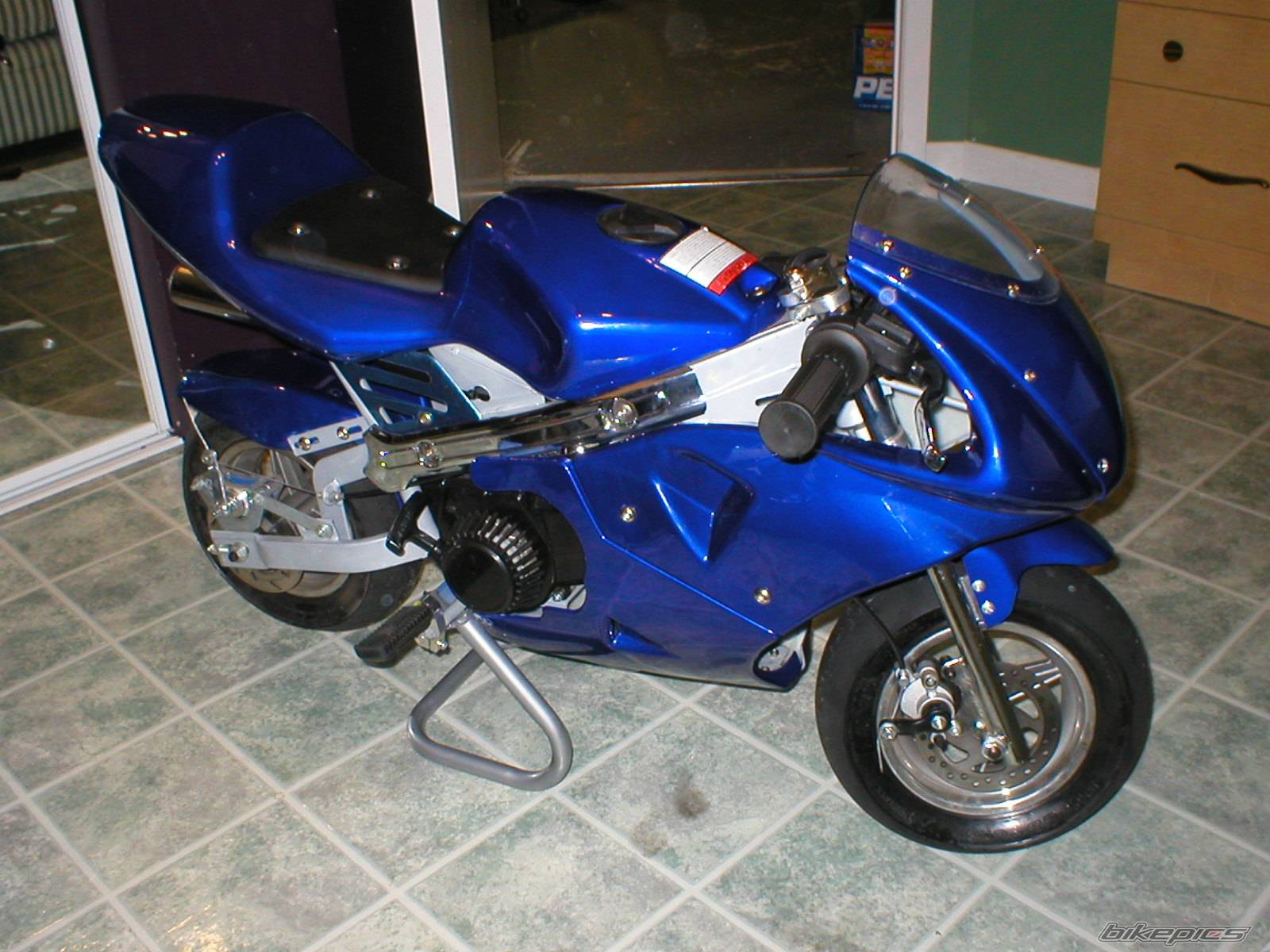 Photo 254474