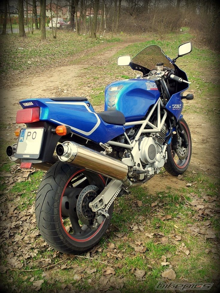 Photo 2544744