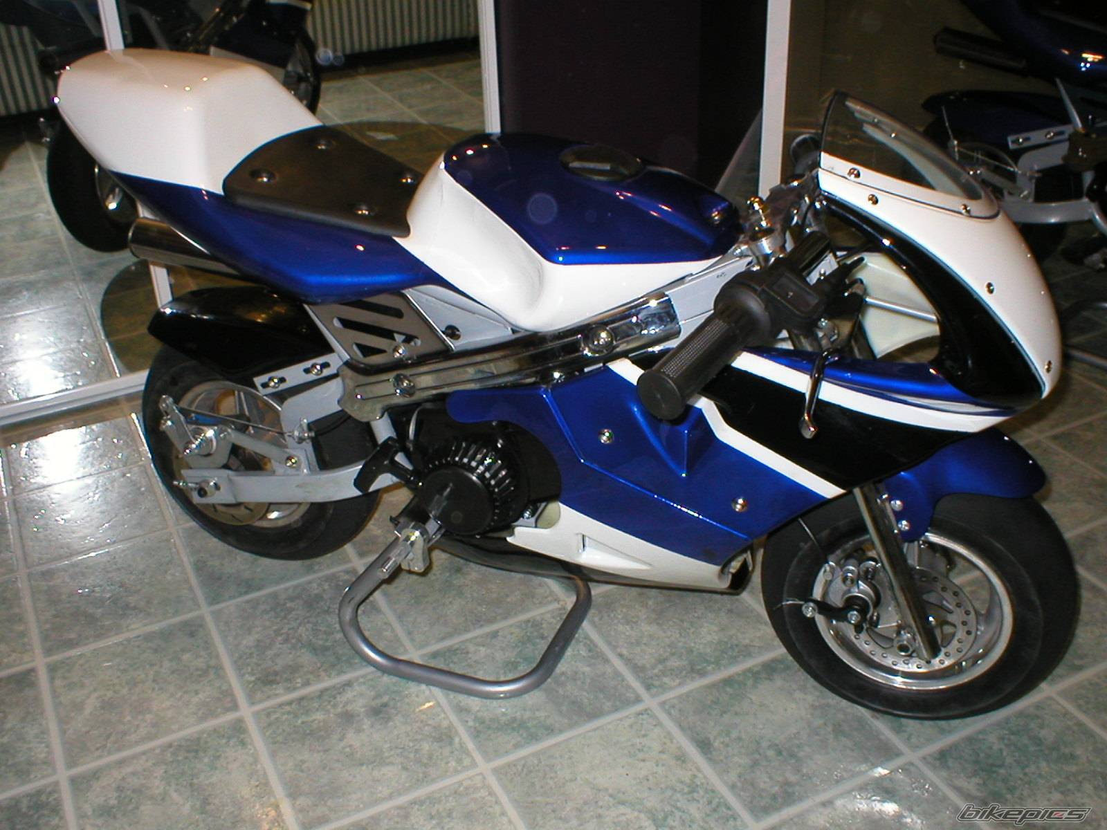Photo 254475