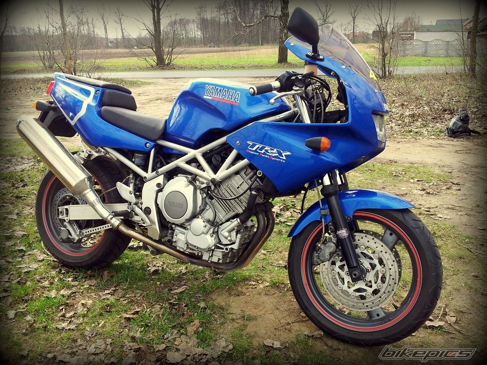 Photo 2544755