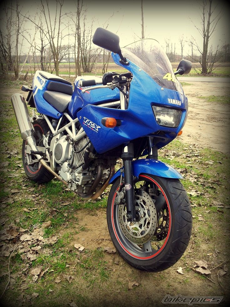 Photo 2544756