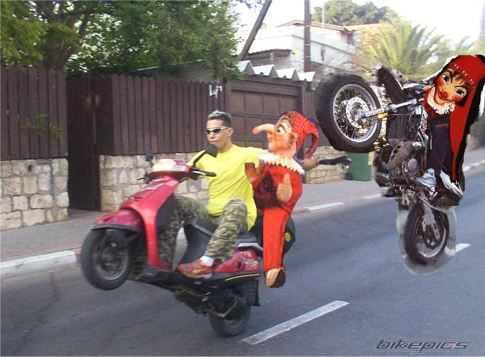 Bike Photo 254478