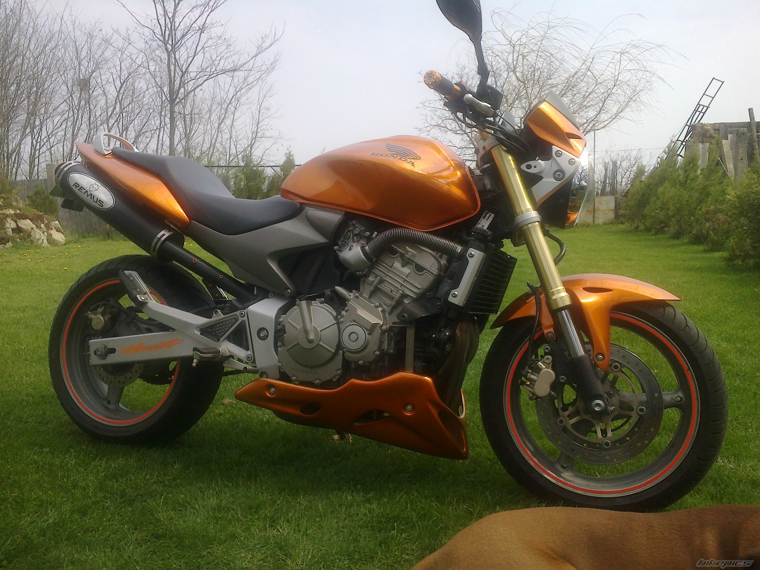 Photo 2544903