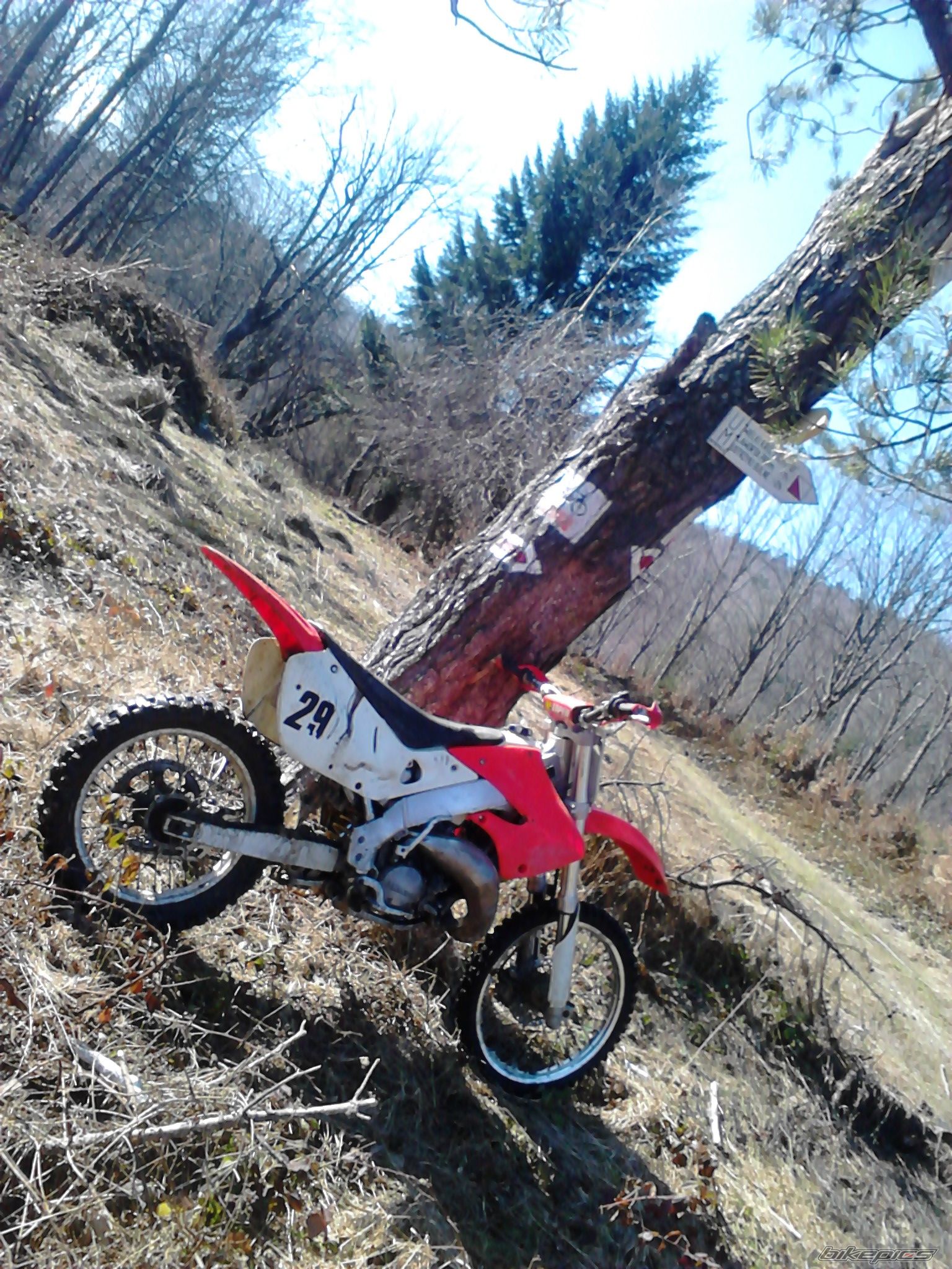 Photo 2545020