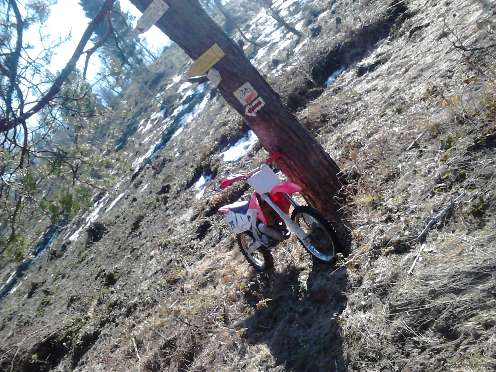 Photo 2545022