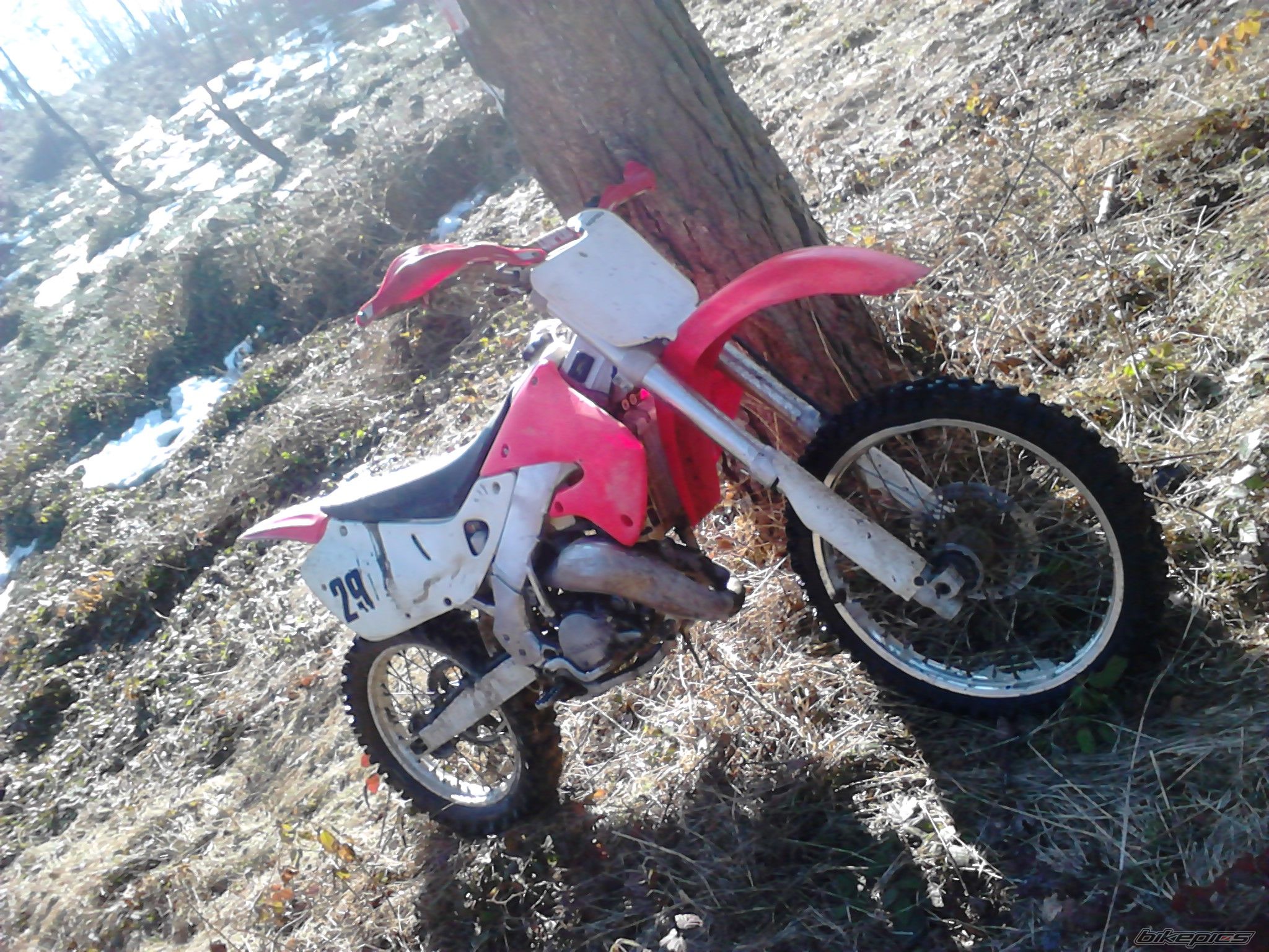 Photo 2545023
