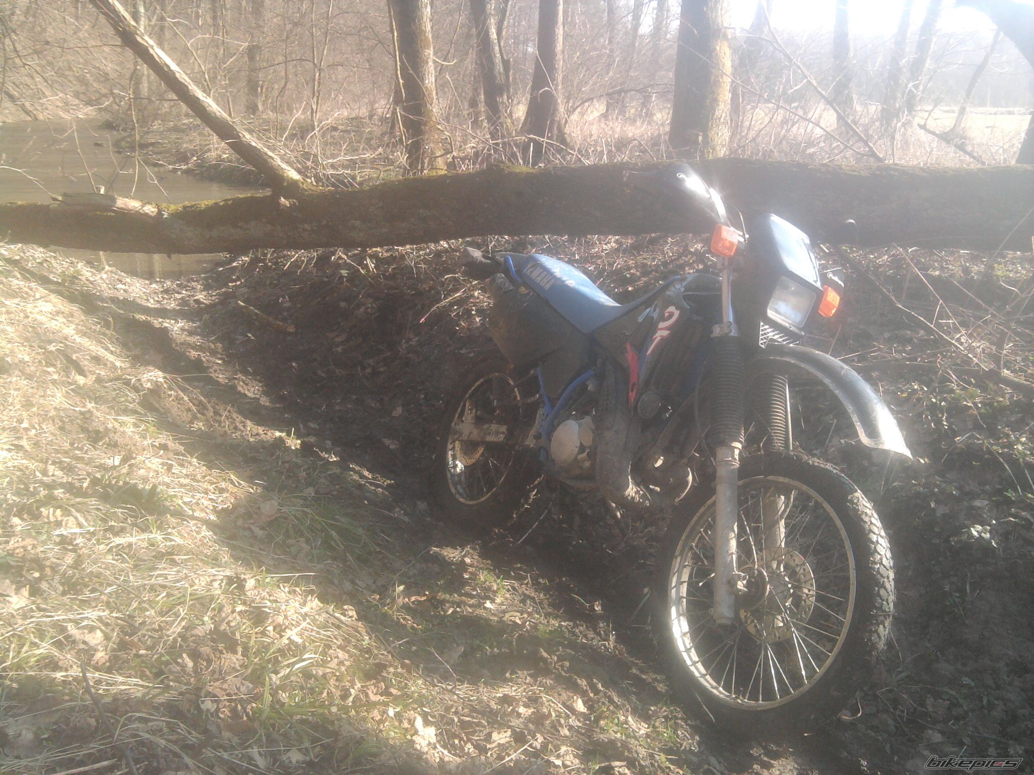 Bike Photo 2545065