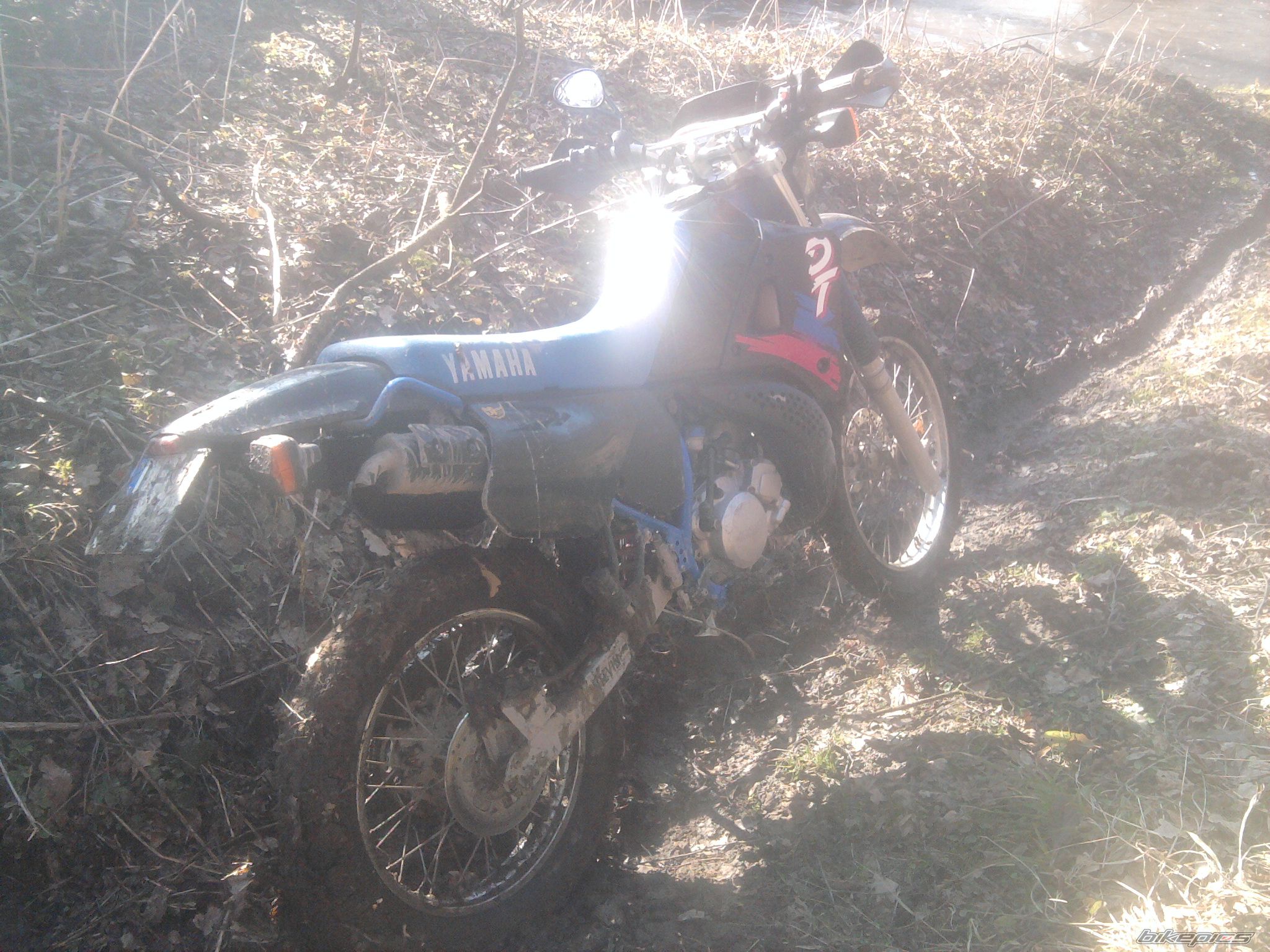 Bike Photo 2545066