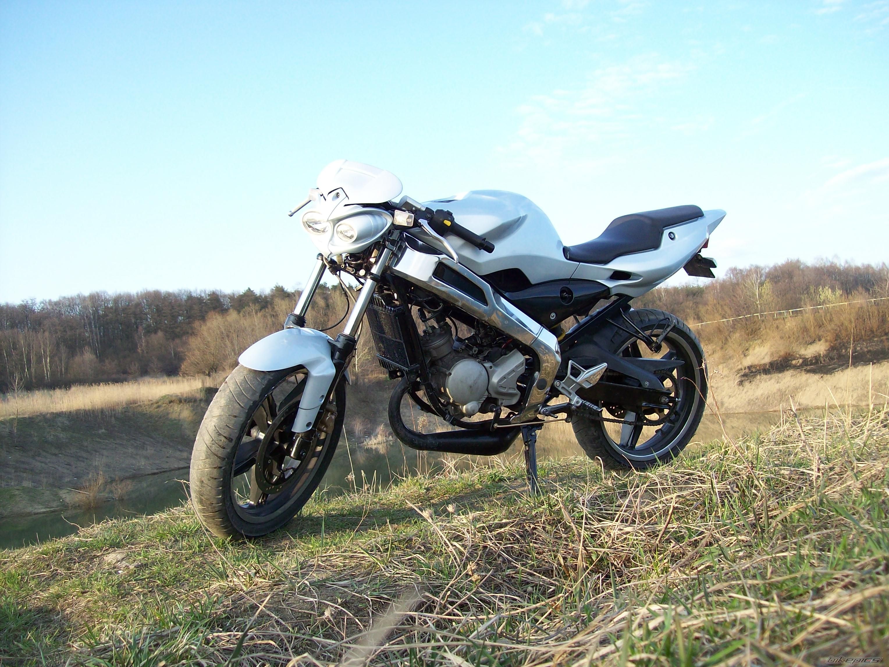 Photo 2545089