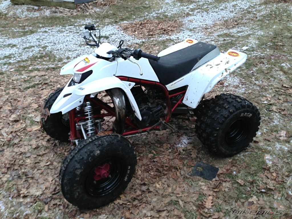 Photo 2545120