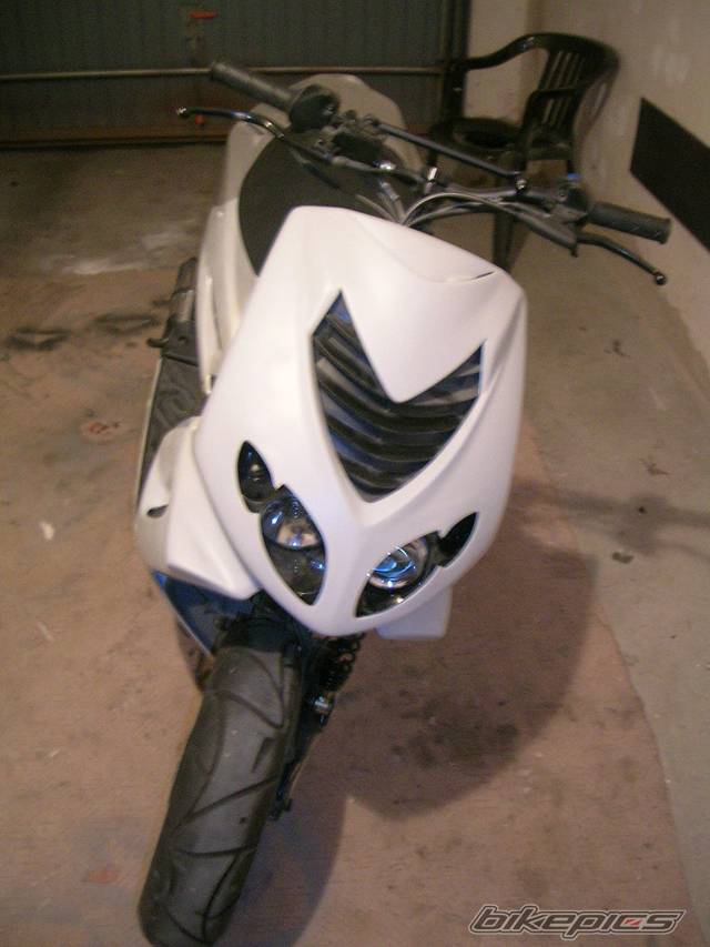 Photo 254520
