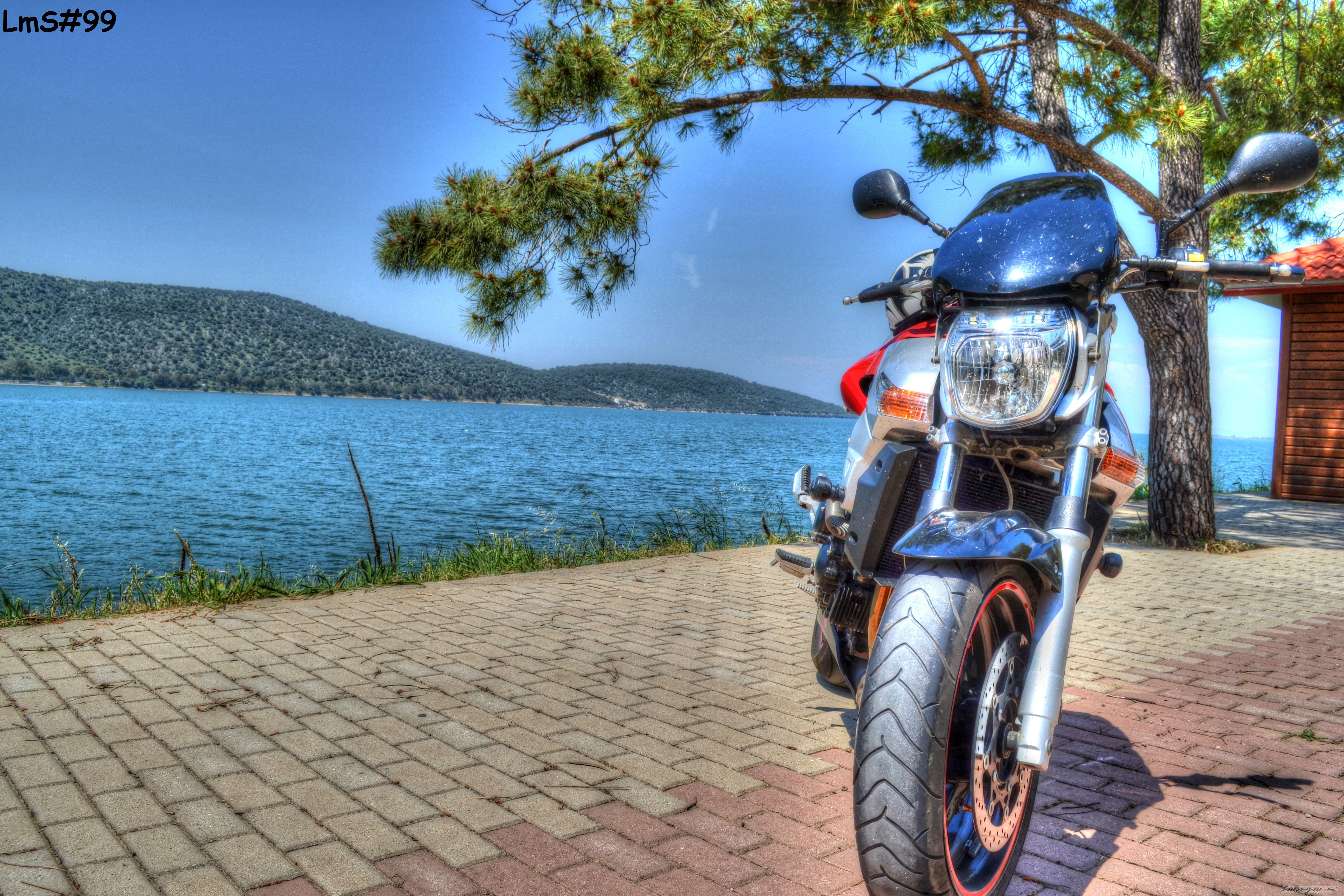 Photo 2545218