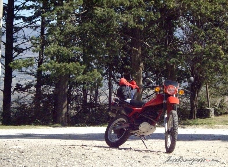 Photo 2545272