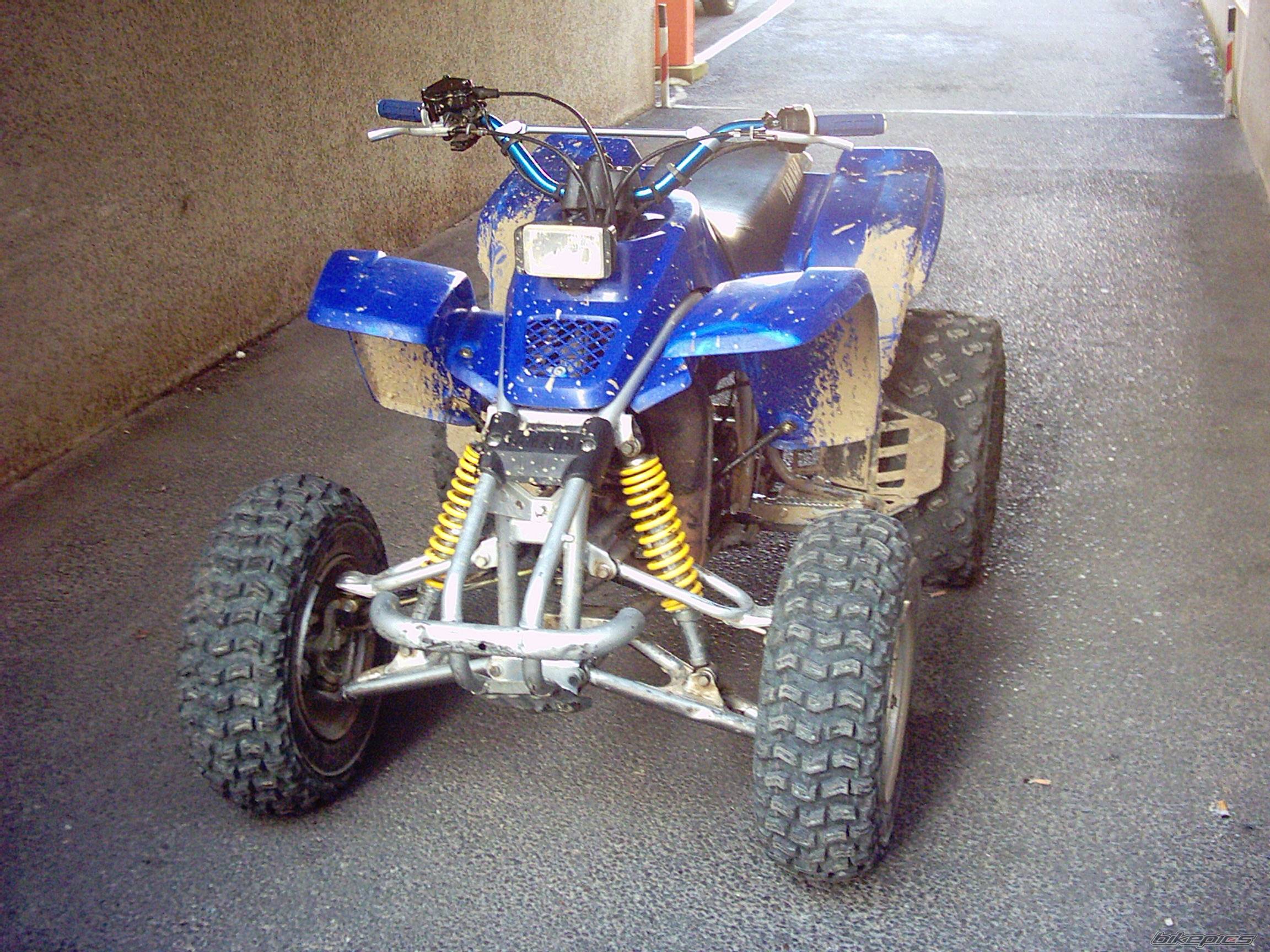 Photo 254528