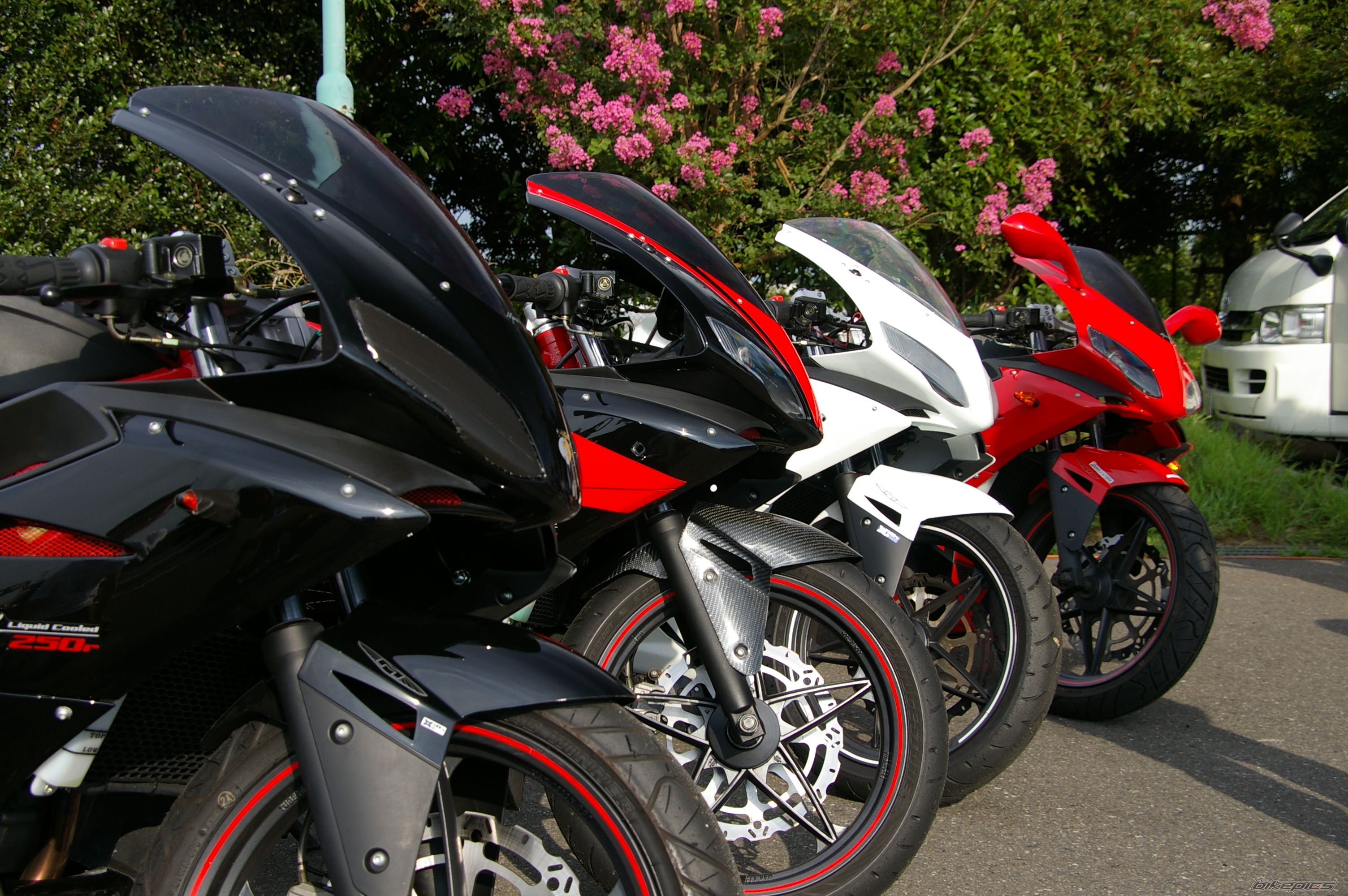 Photo 2545307