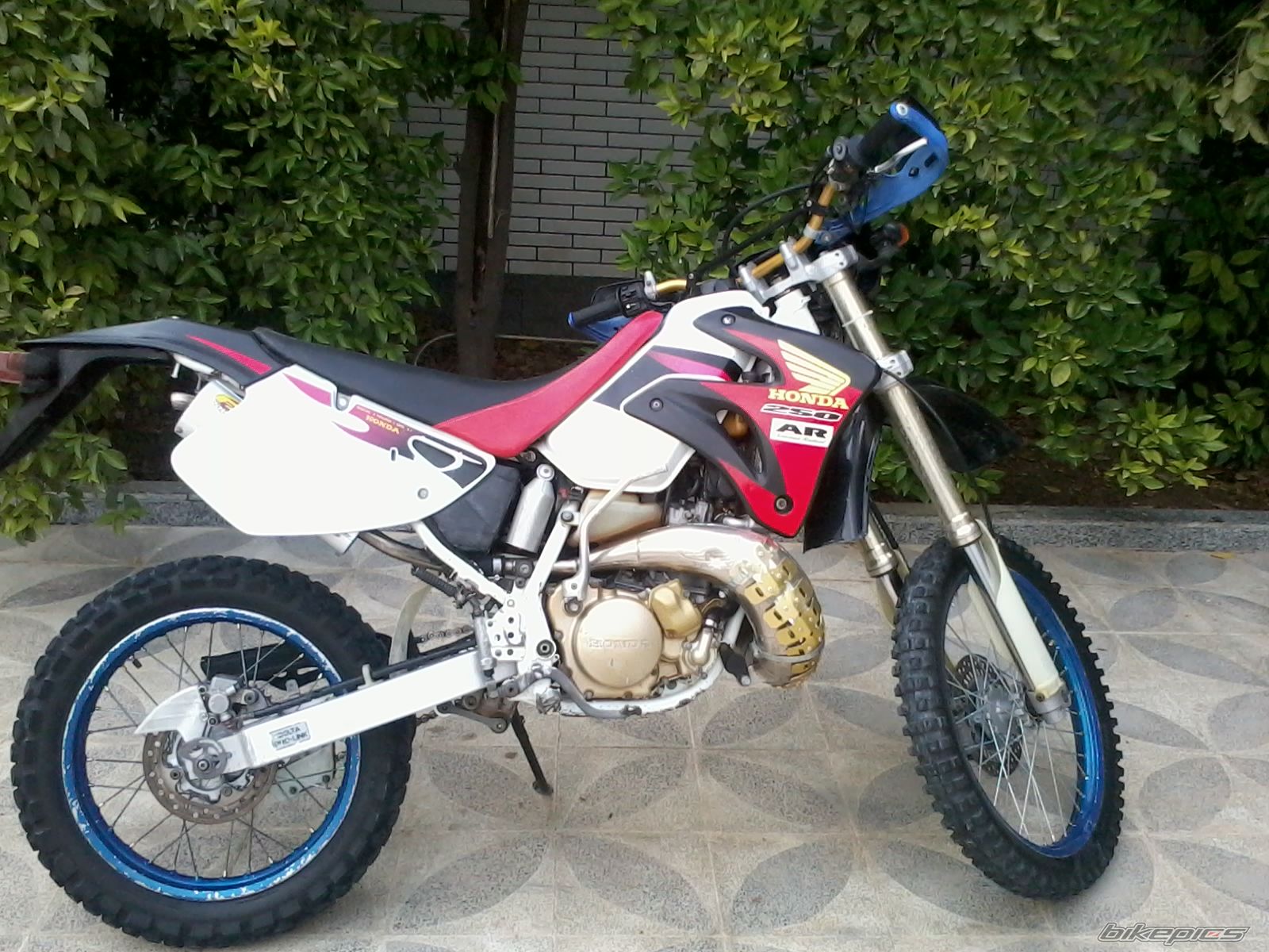 Photo 2545361