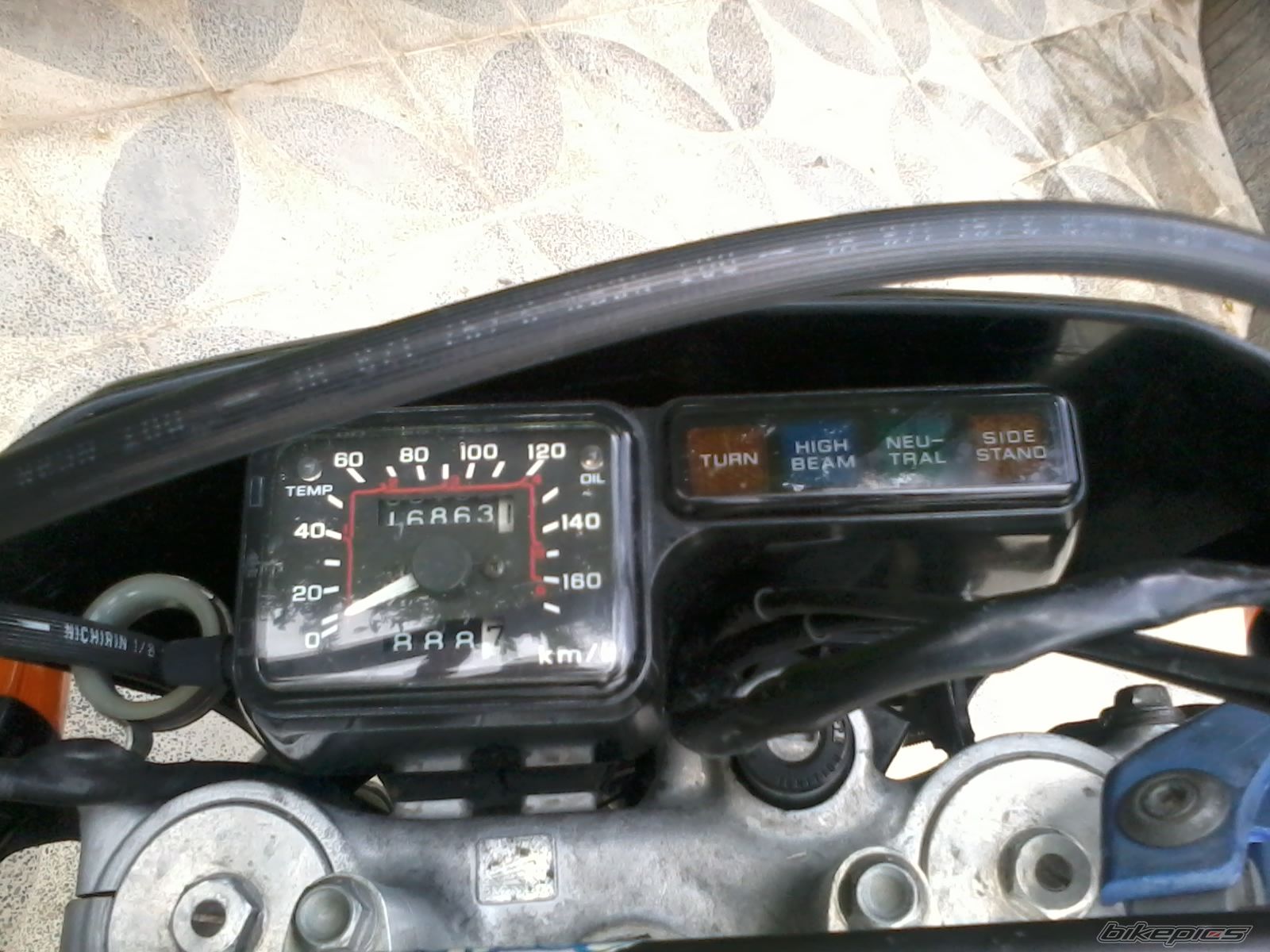 Photo 2545364