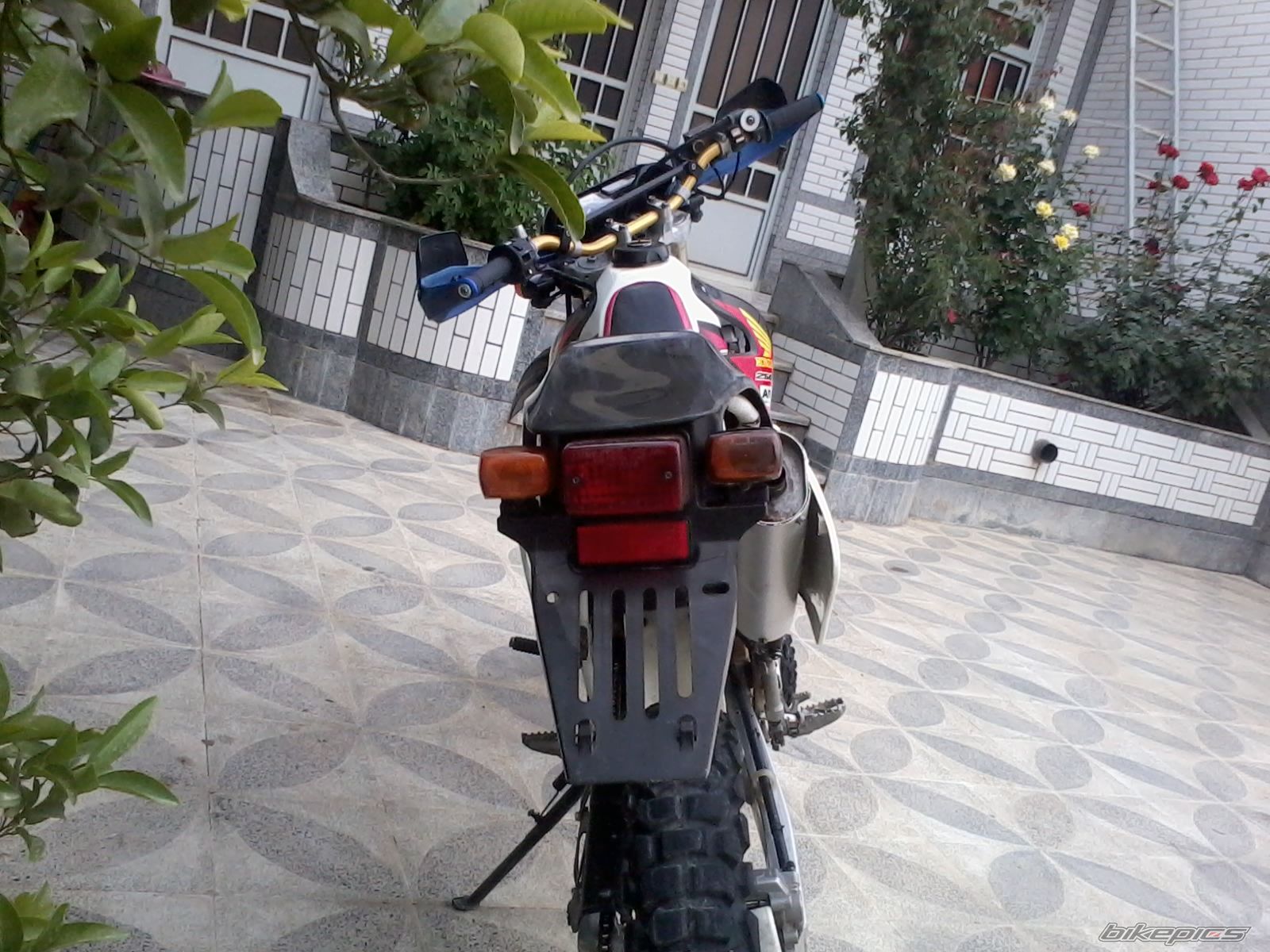 Photo 2545366