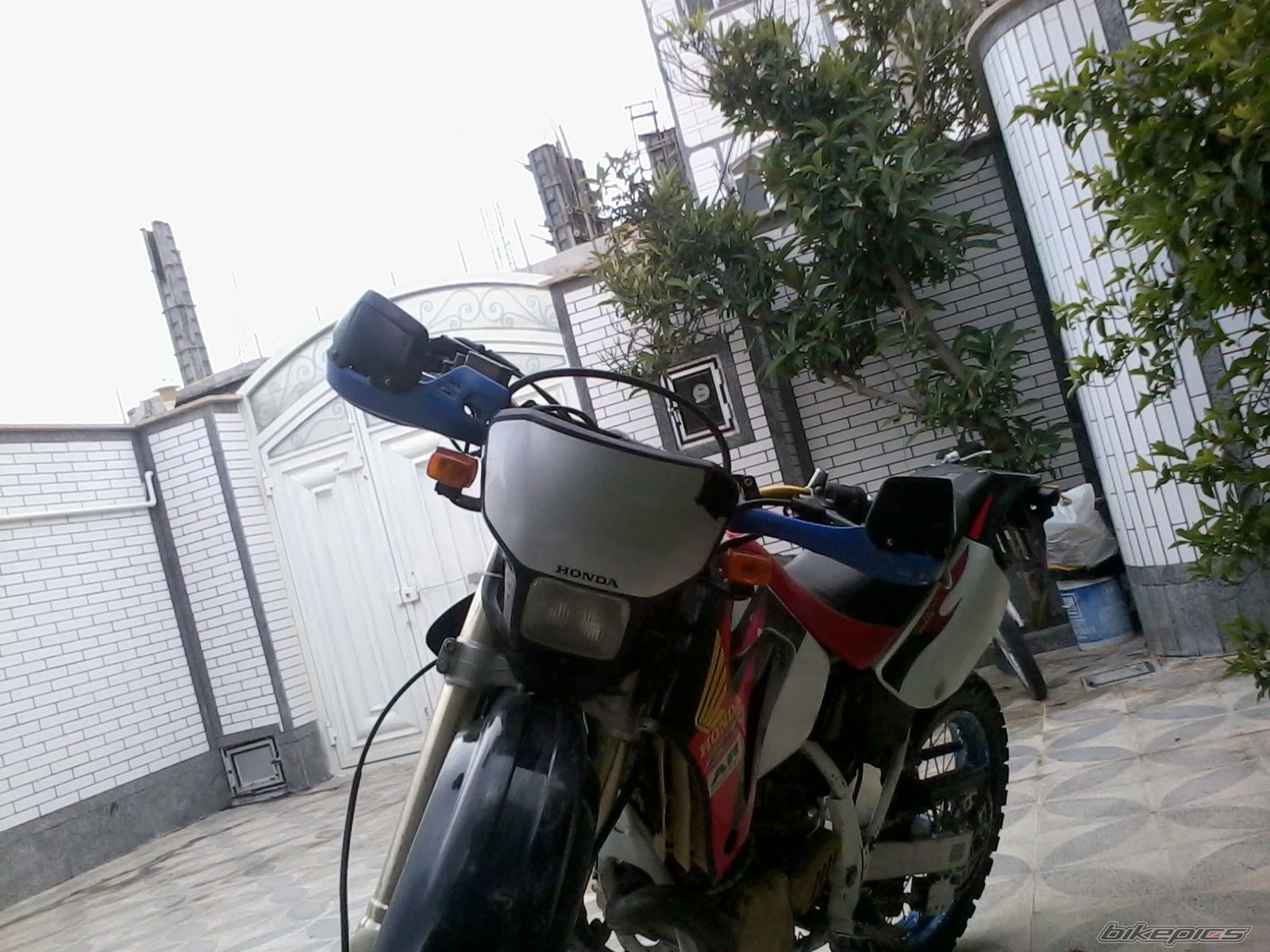 Photo 2545370