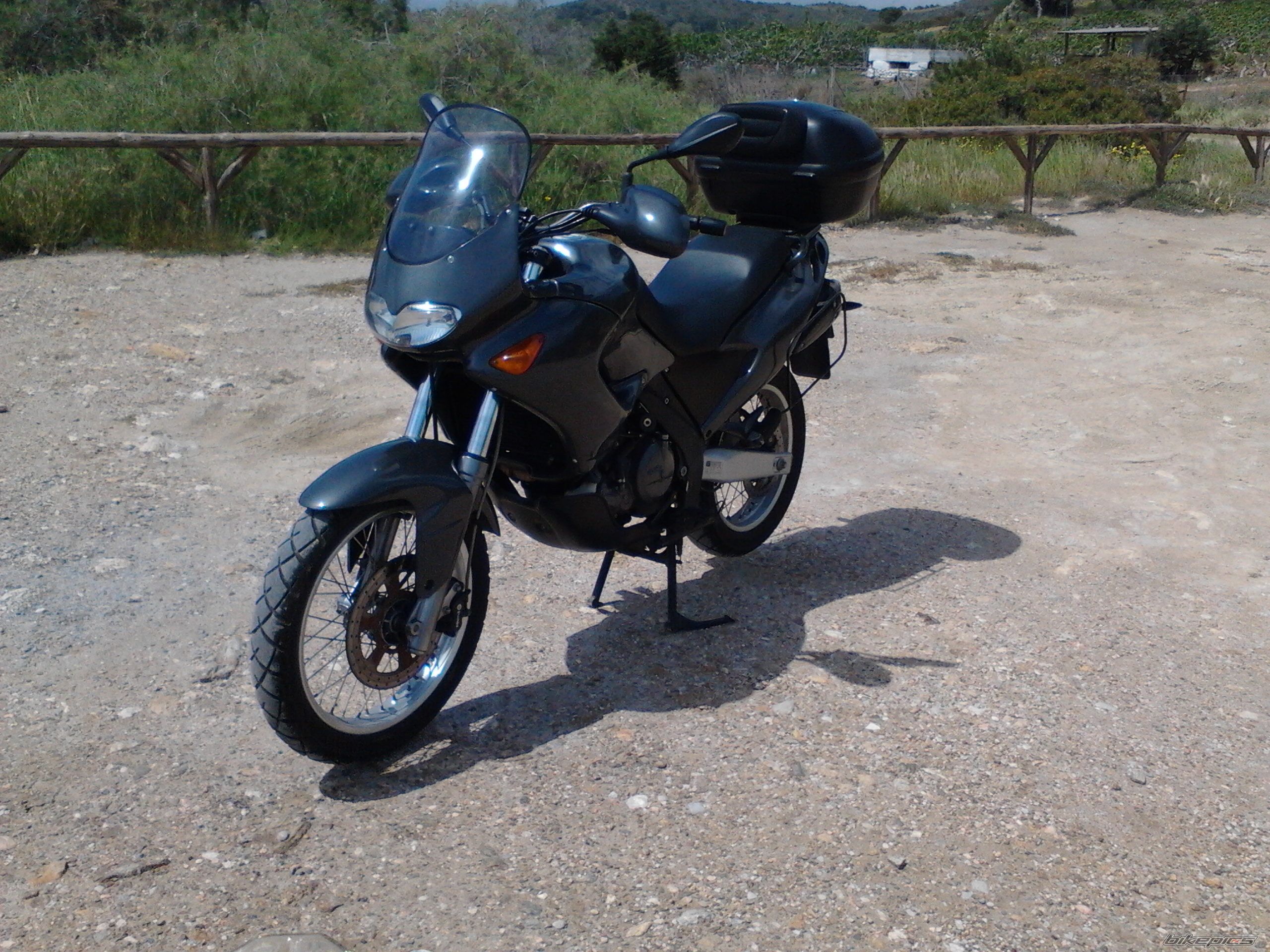 Photo 2545379