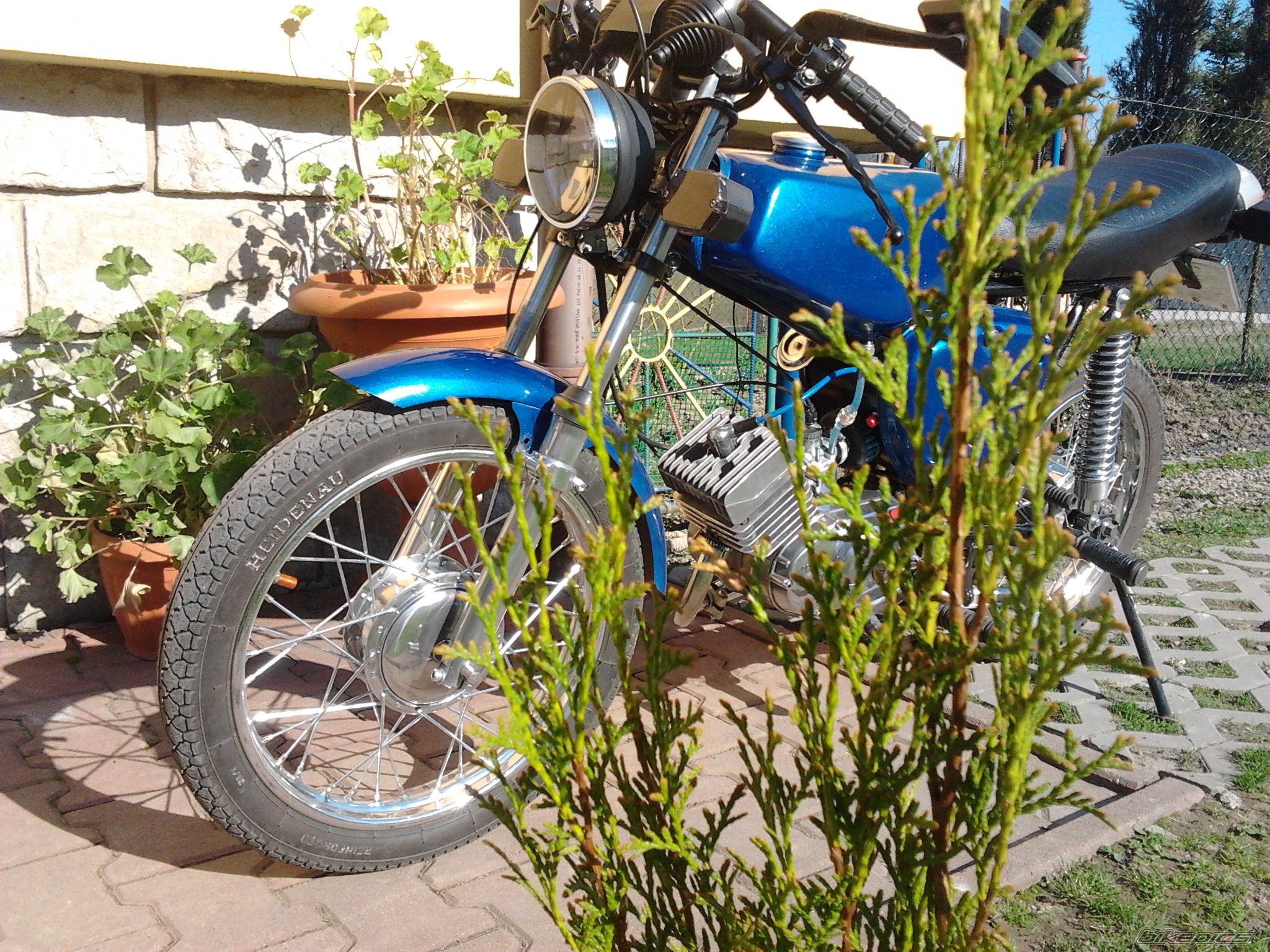 Photo 2545405