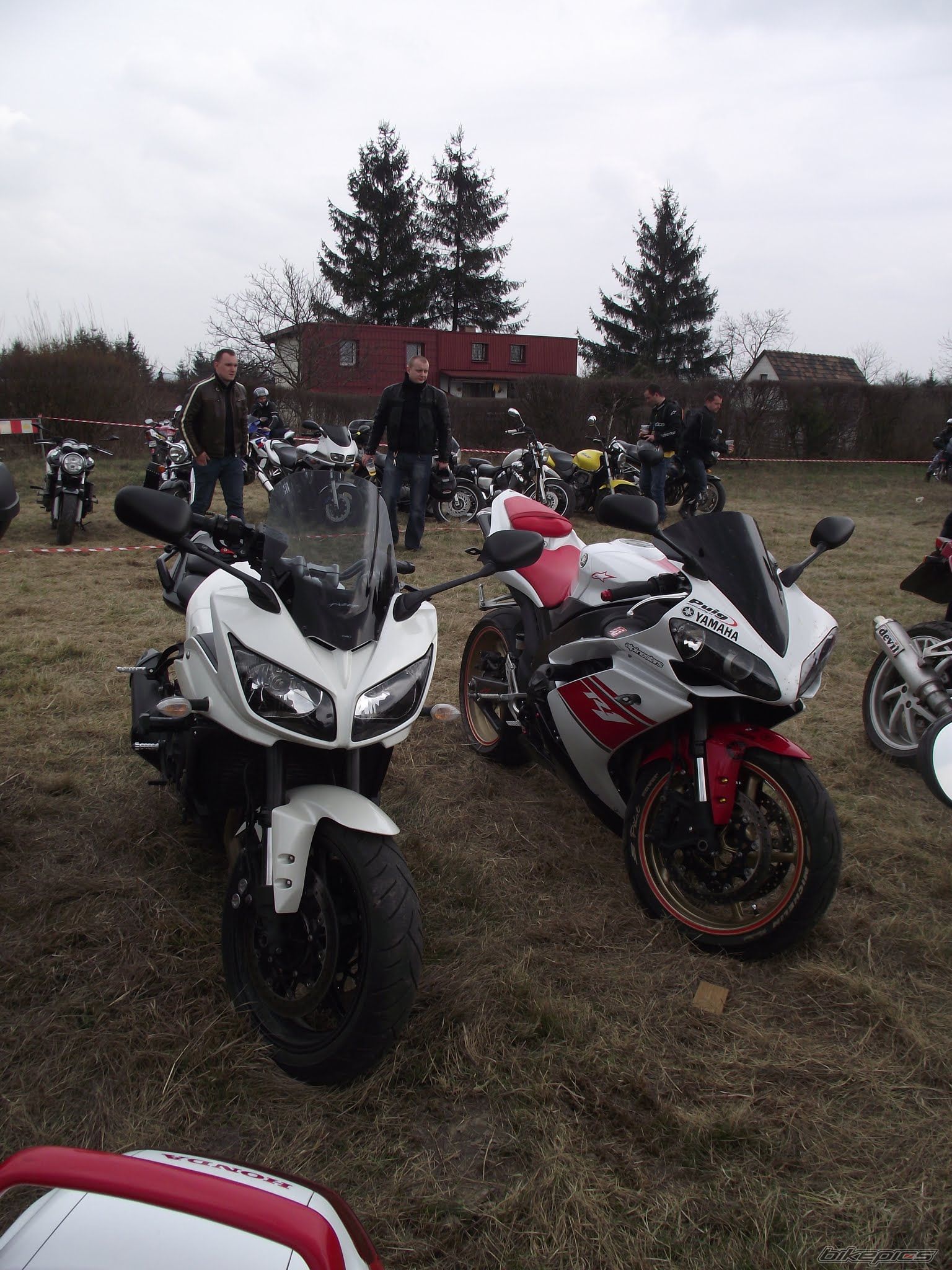 Photo 2545411