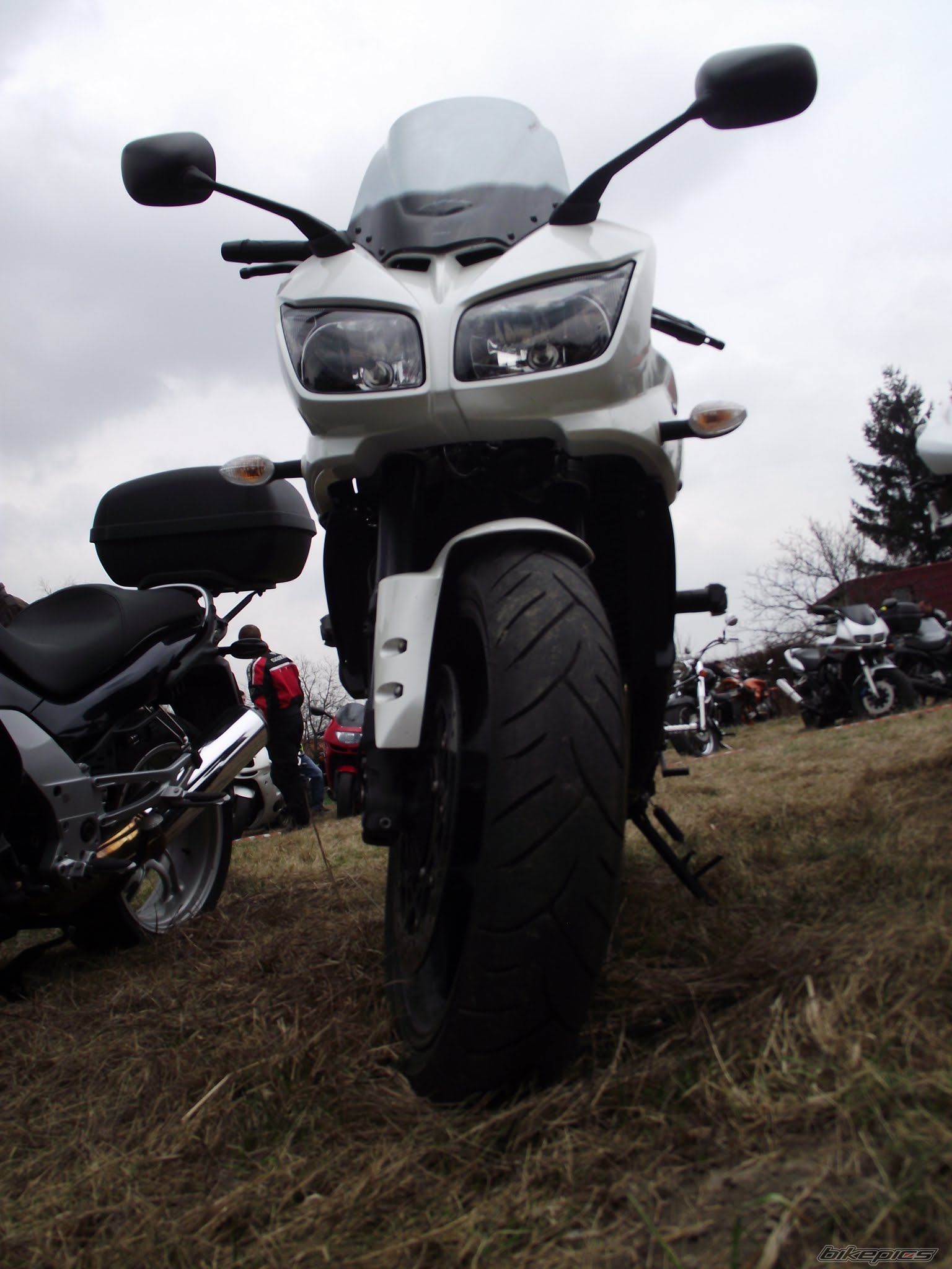 Photo 2545413