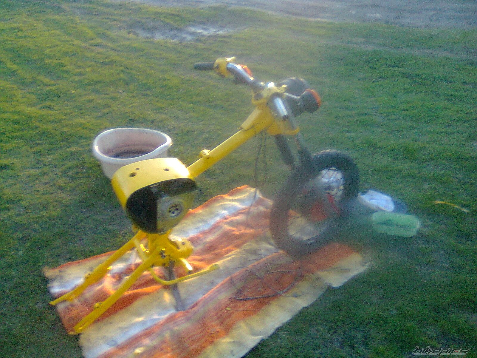 Photo 2545539