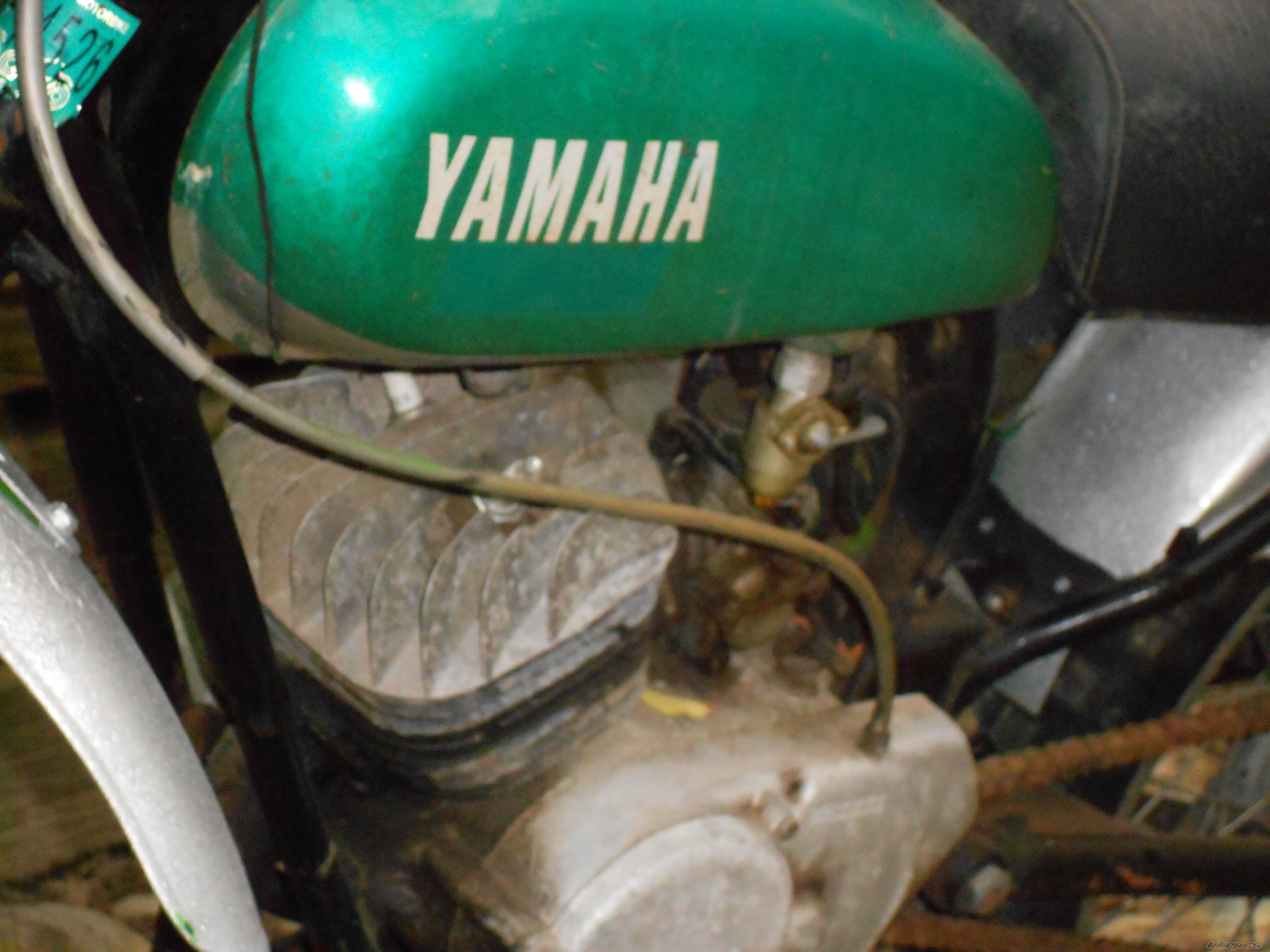 Photo 2545608