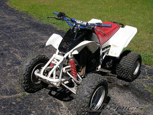 Photo 254567