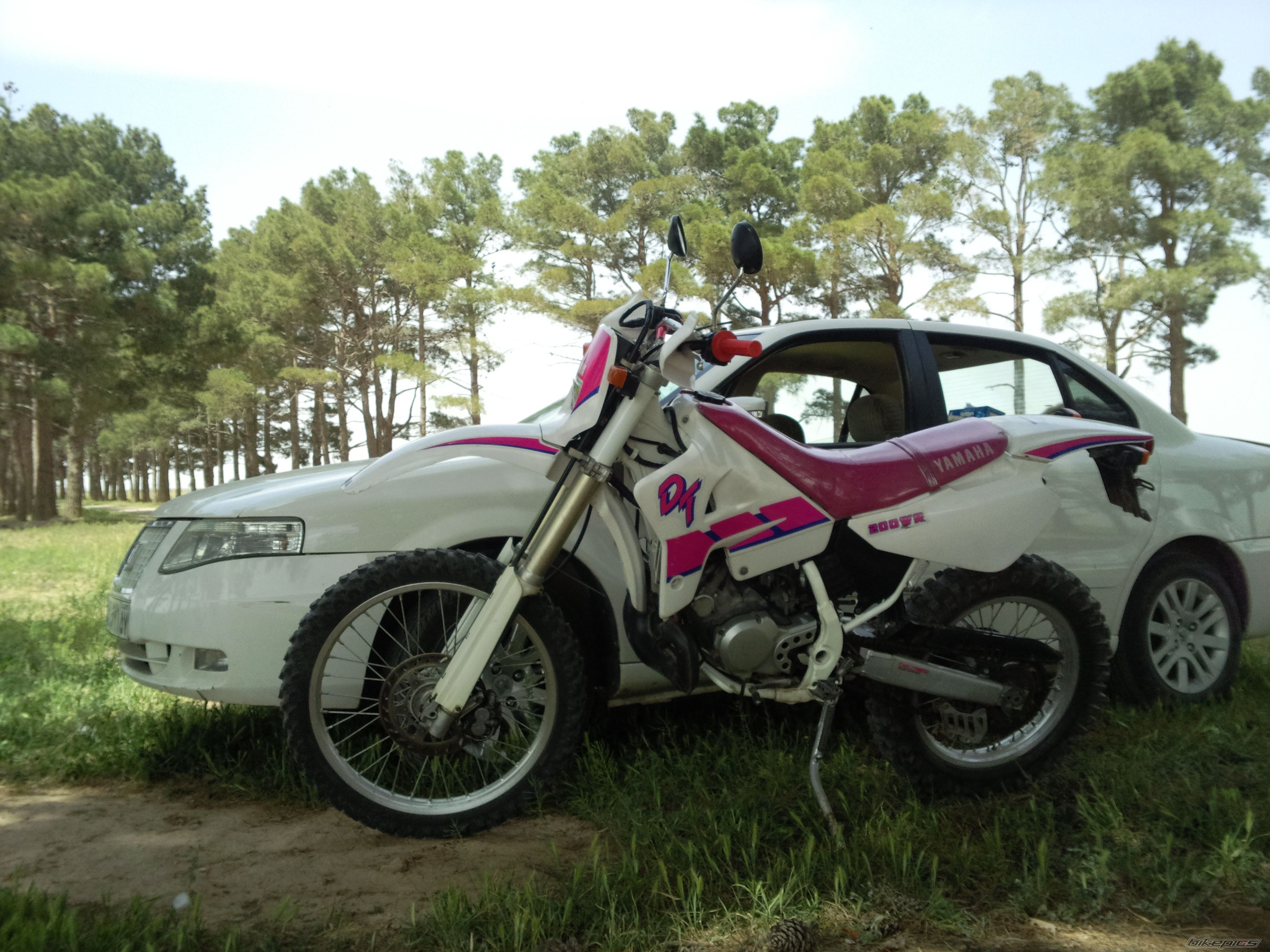 Photo 2545686