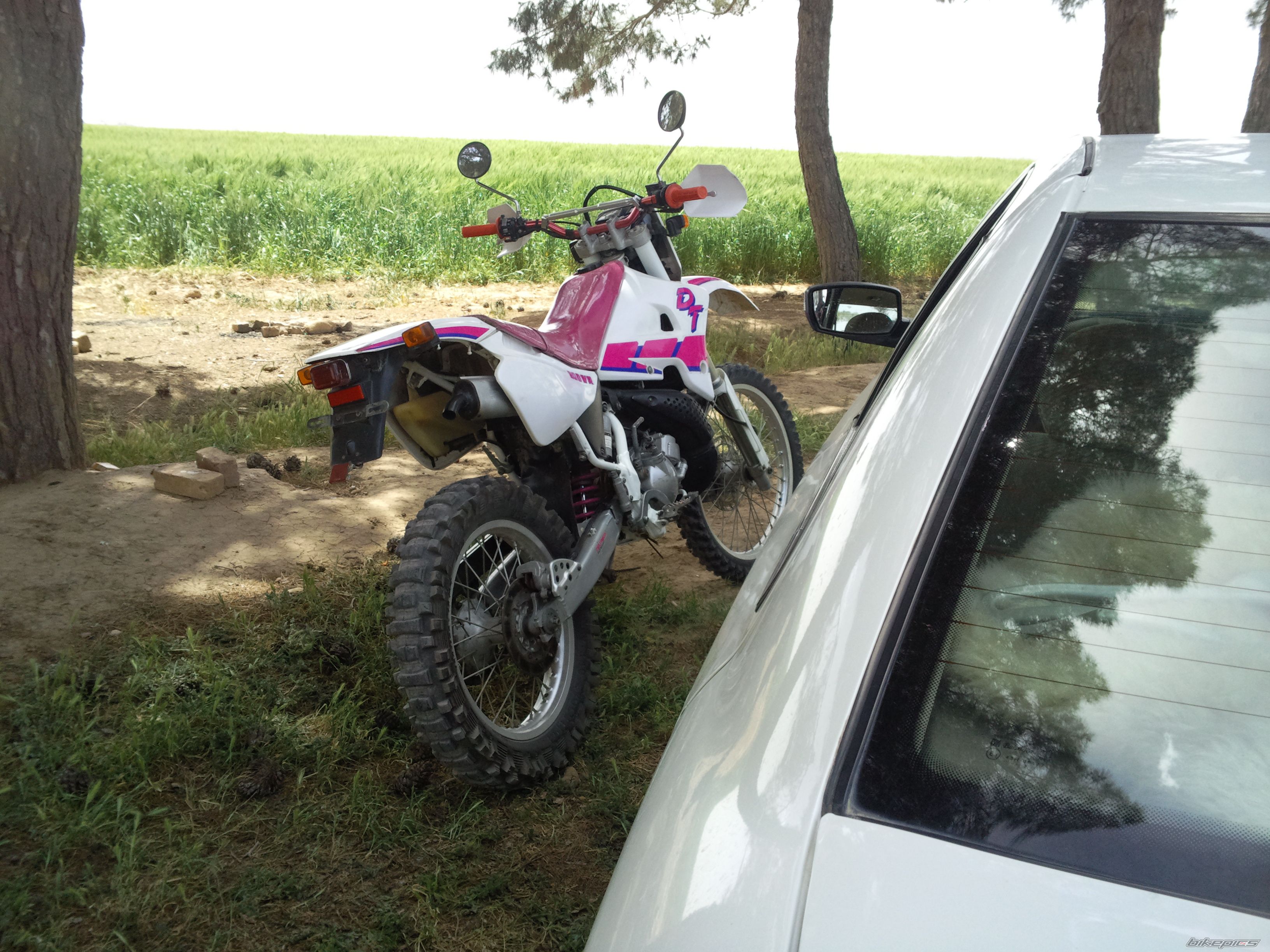 Photo 2545689