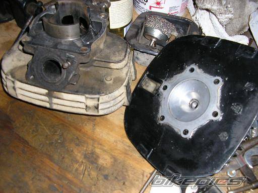 Photo 254573