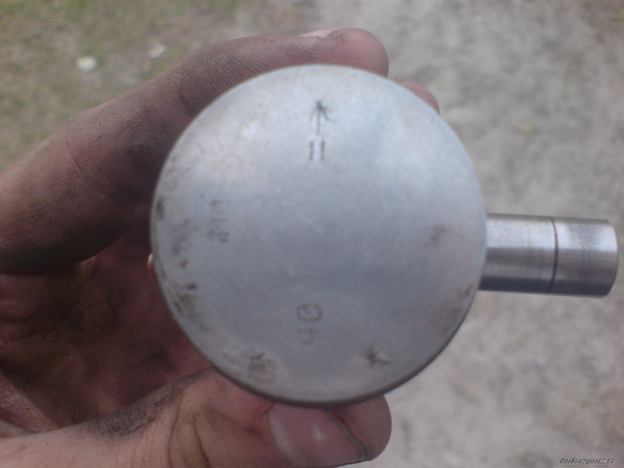 Photo 2545756