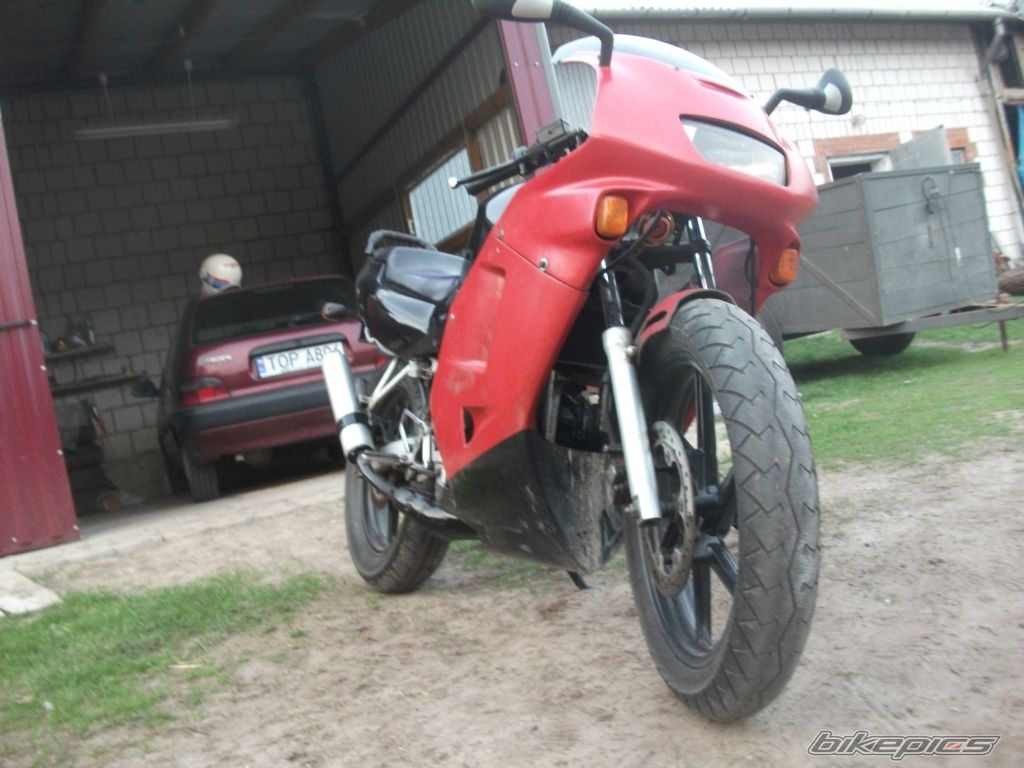 Photo 2545786