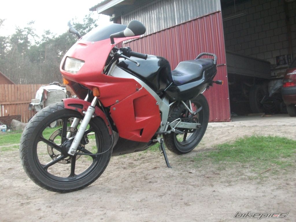 Photo 2545790