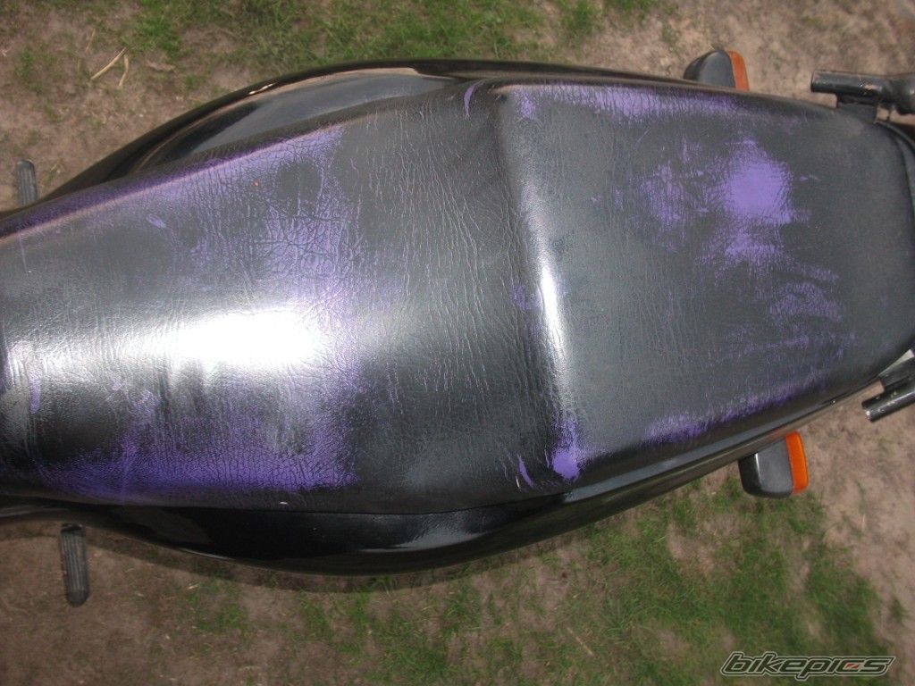 Photo 2545796