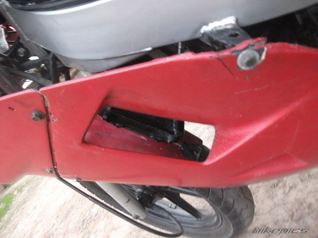 Photo 2545797