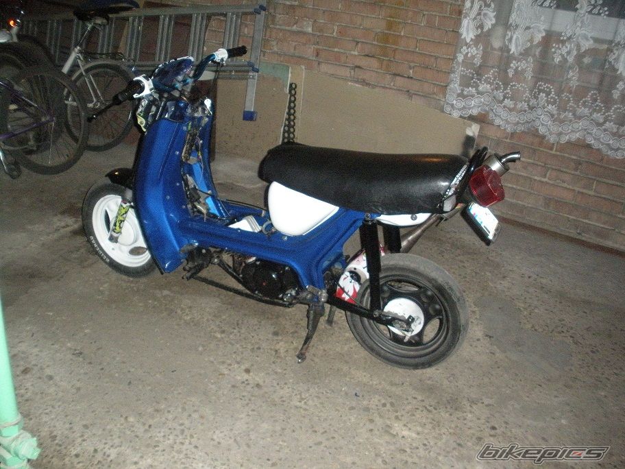 Photo 2545890
