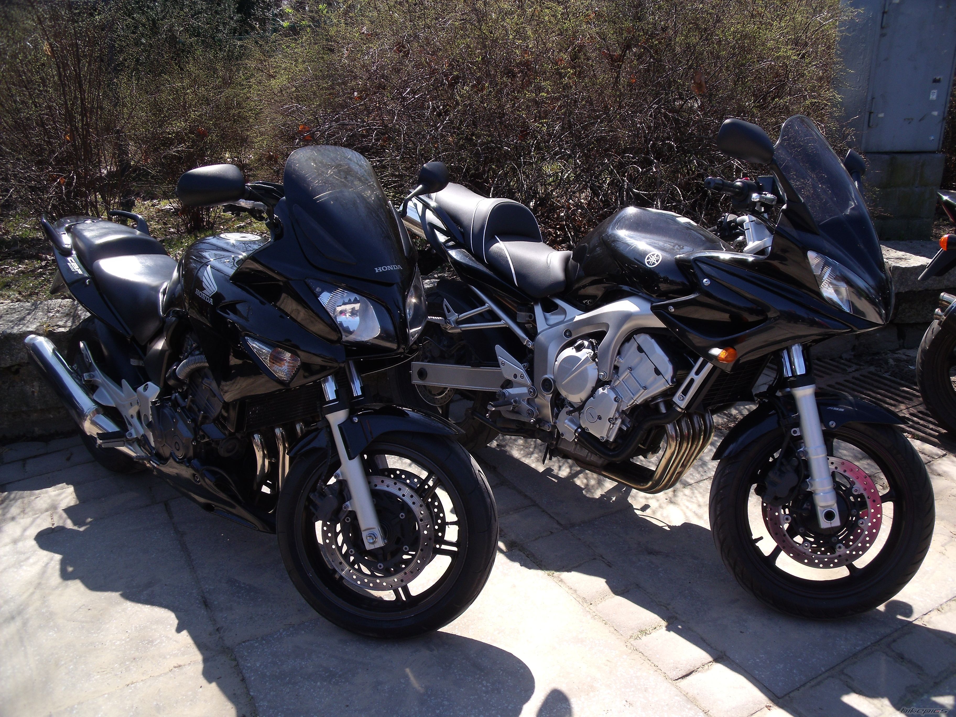 Photo 2545954